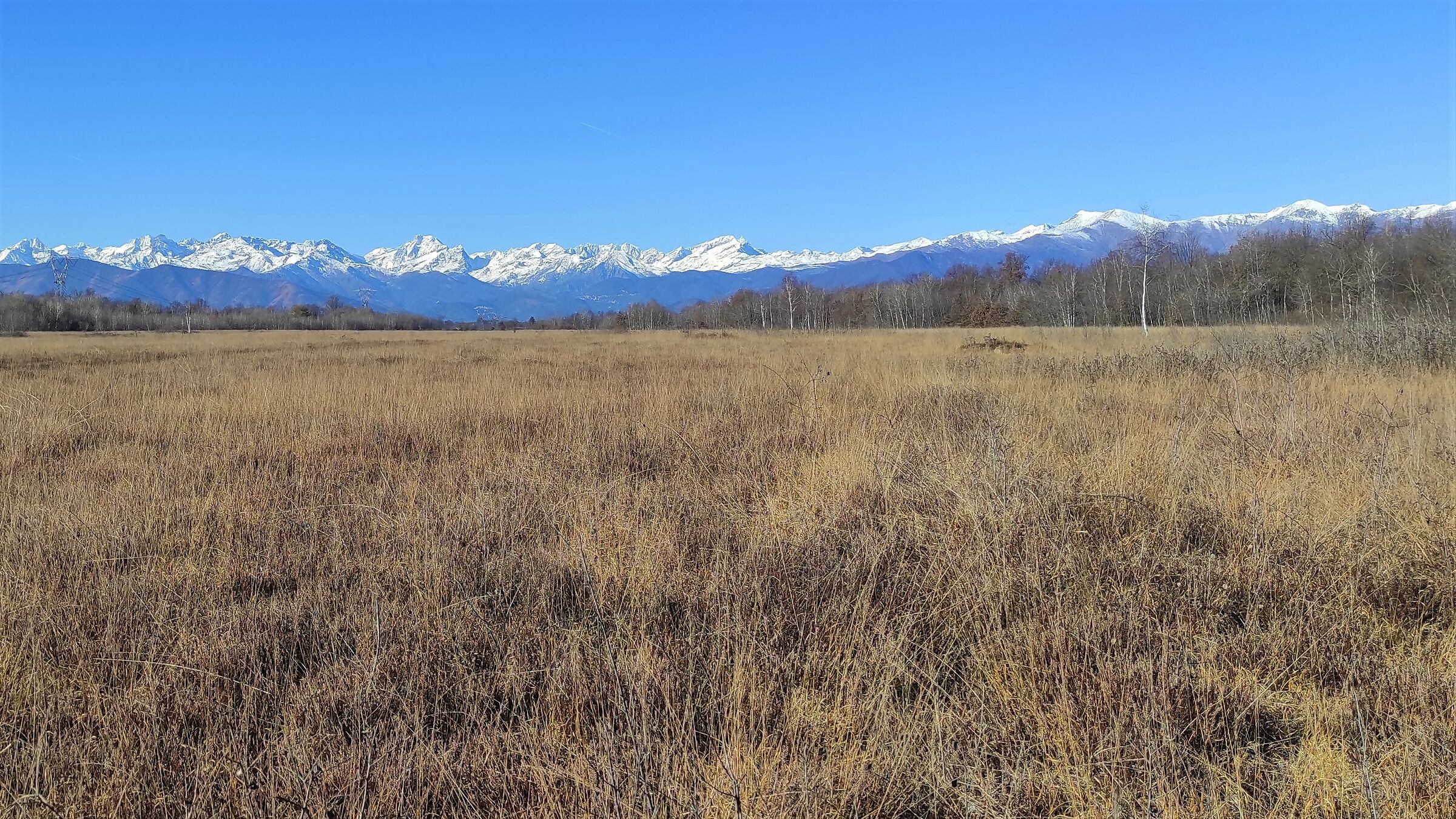 La brughiera della Vauda