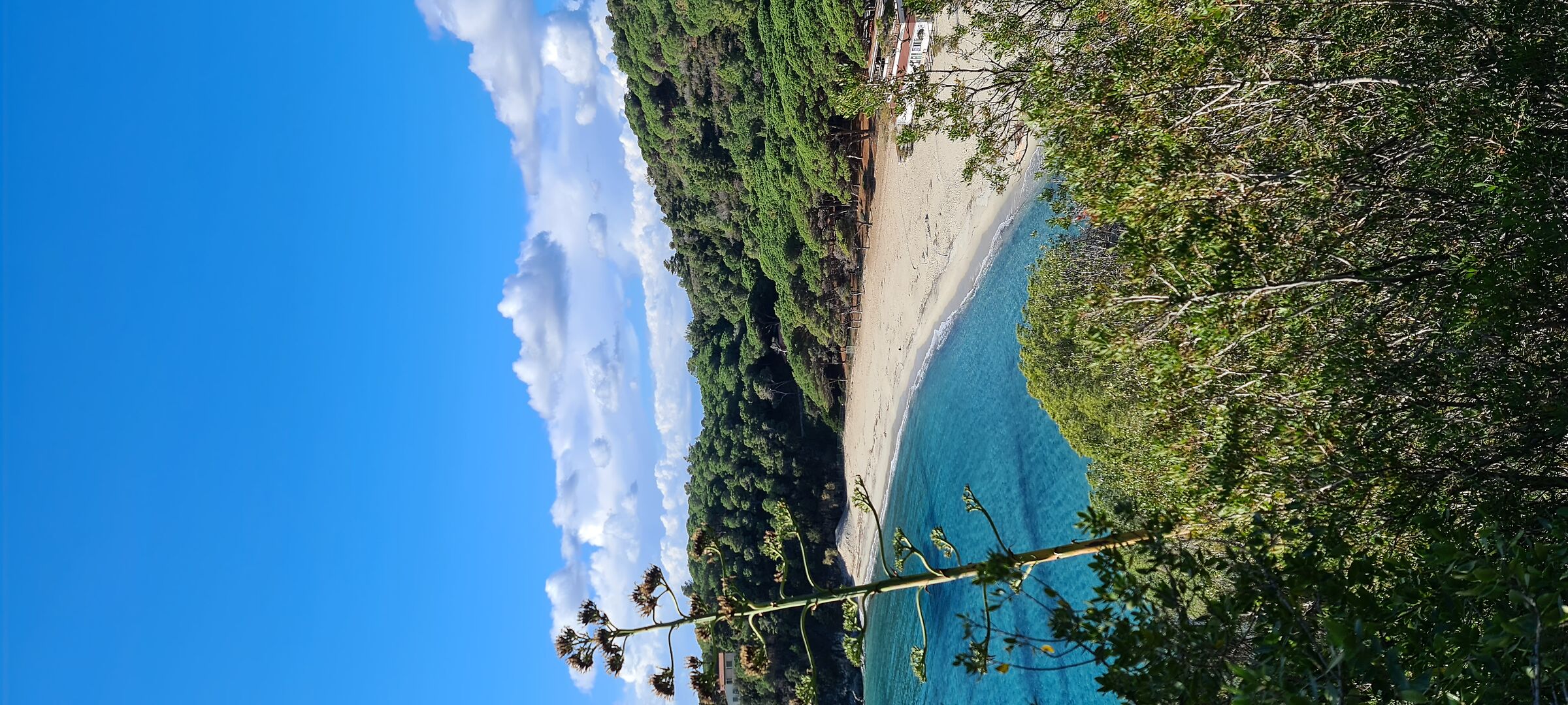 Elba - spiaggia di Fetovaia
