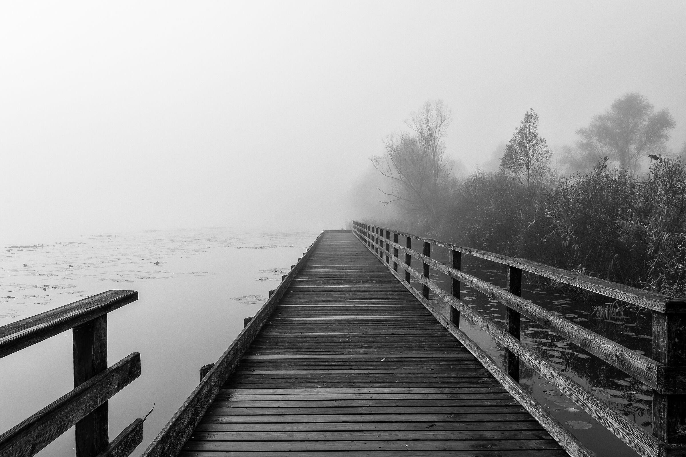 Destination the nothing