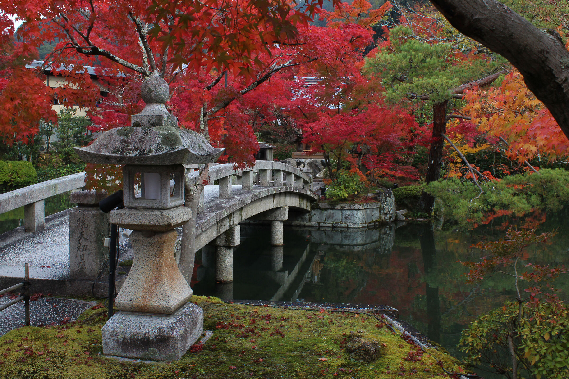 Eikan-do Temple, Kyoto