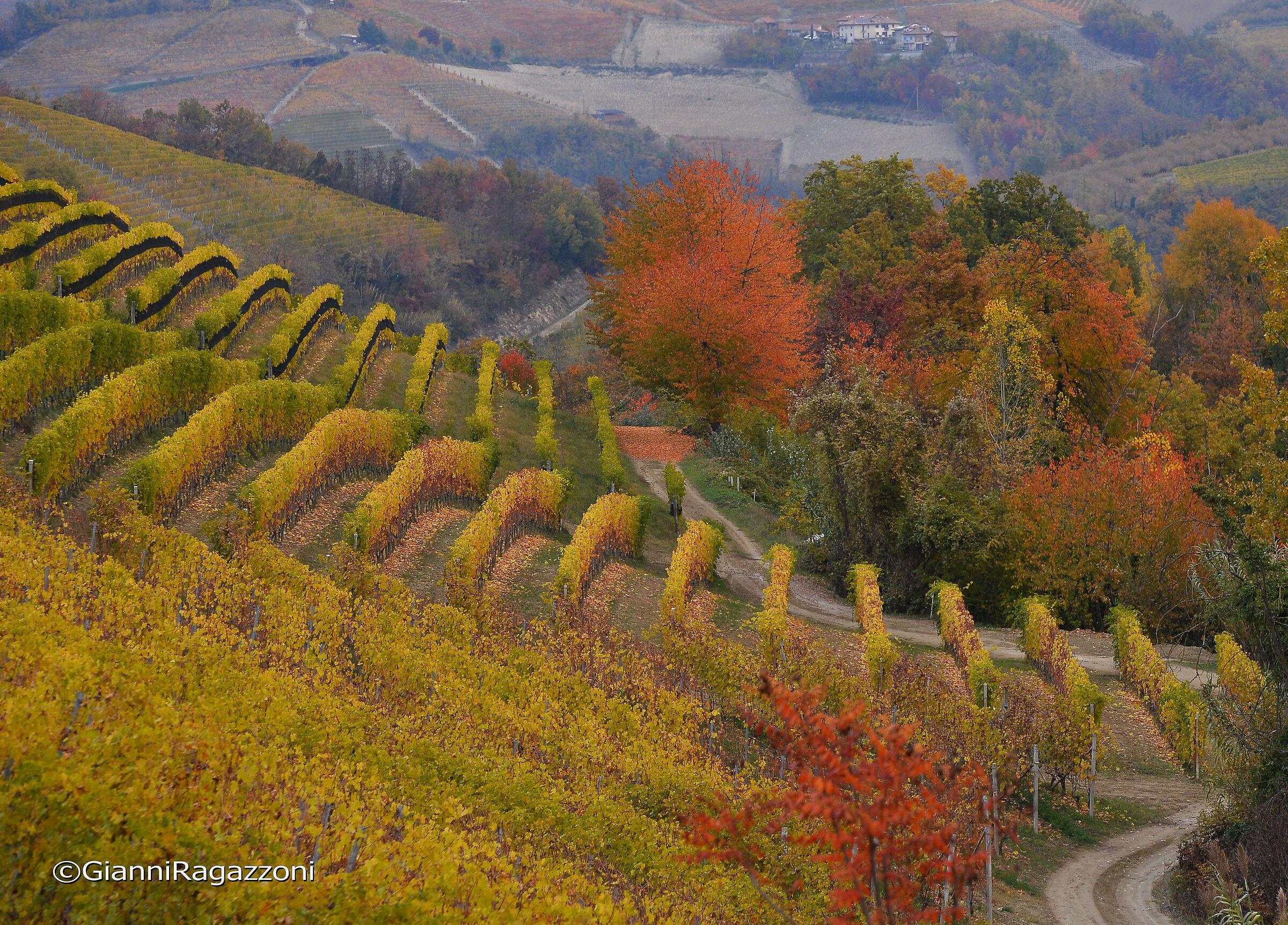 Brushstrokes of color