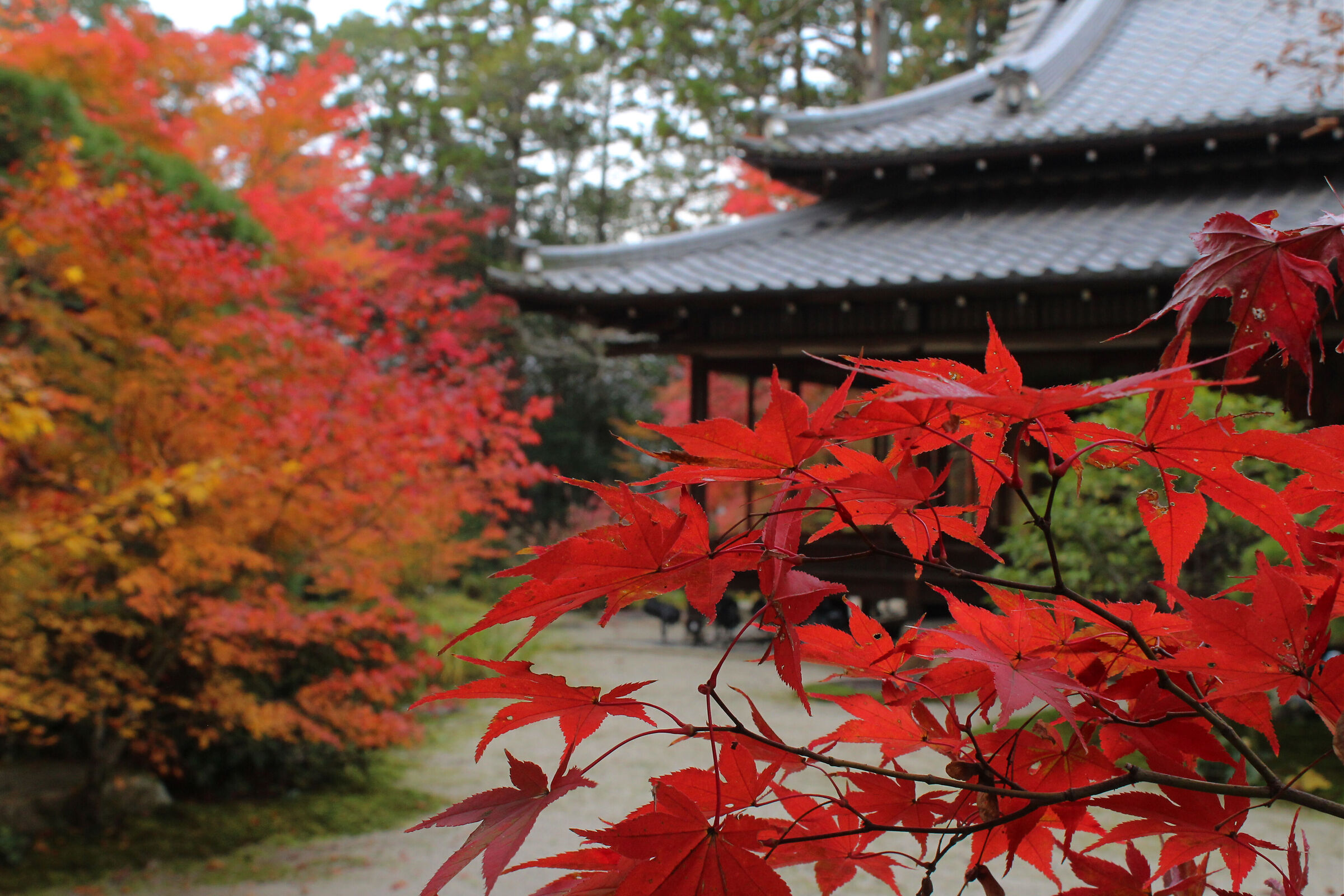 Nanzen-ji Temple, Kyoto