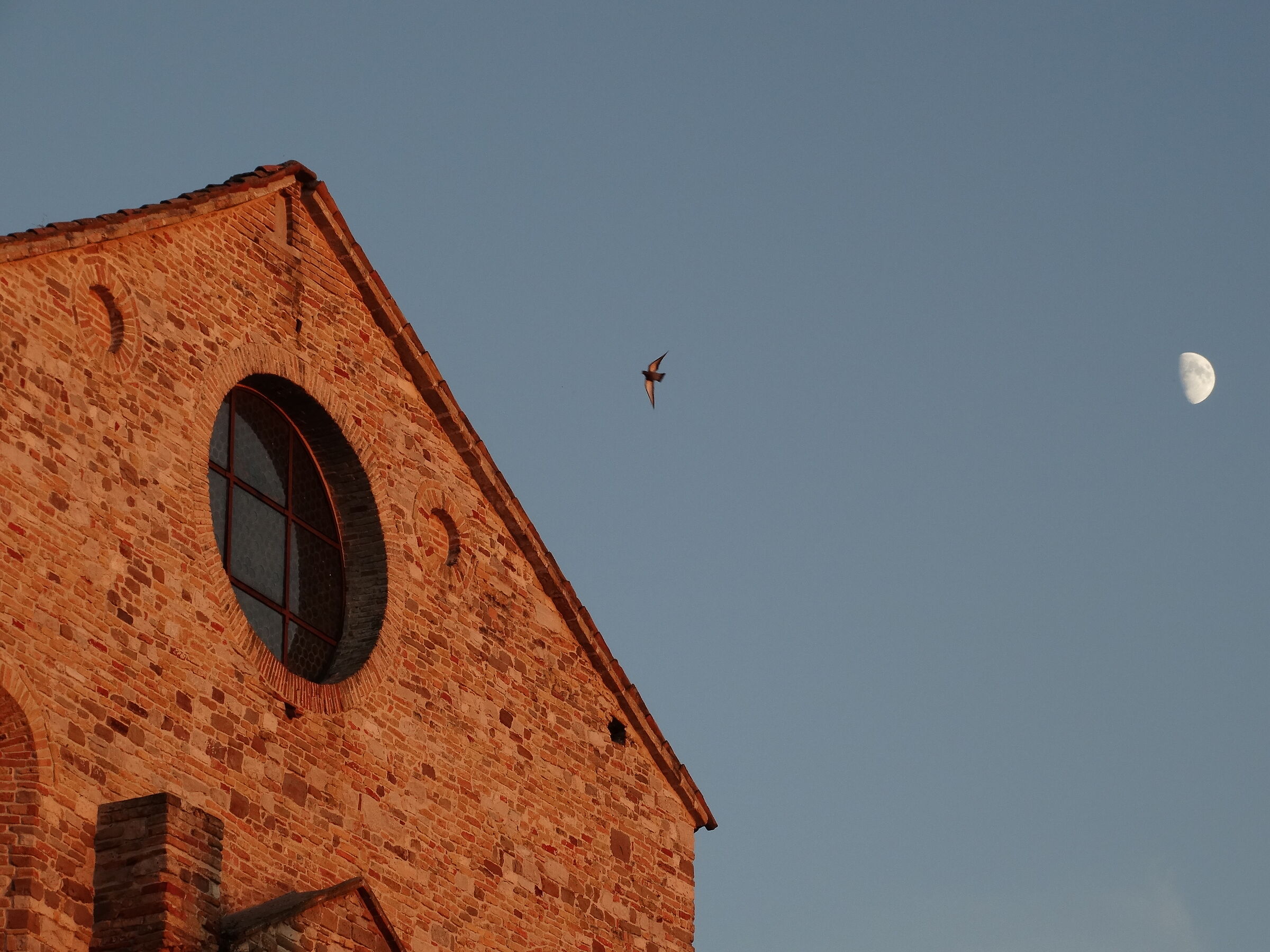 Este. The church, the swallow and the moon.