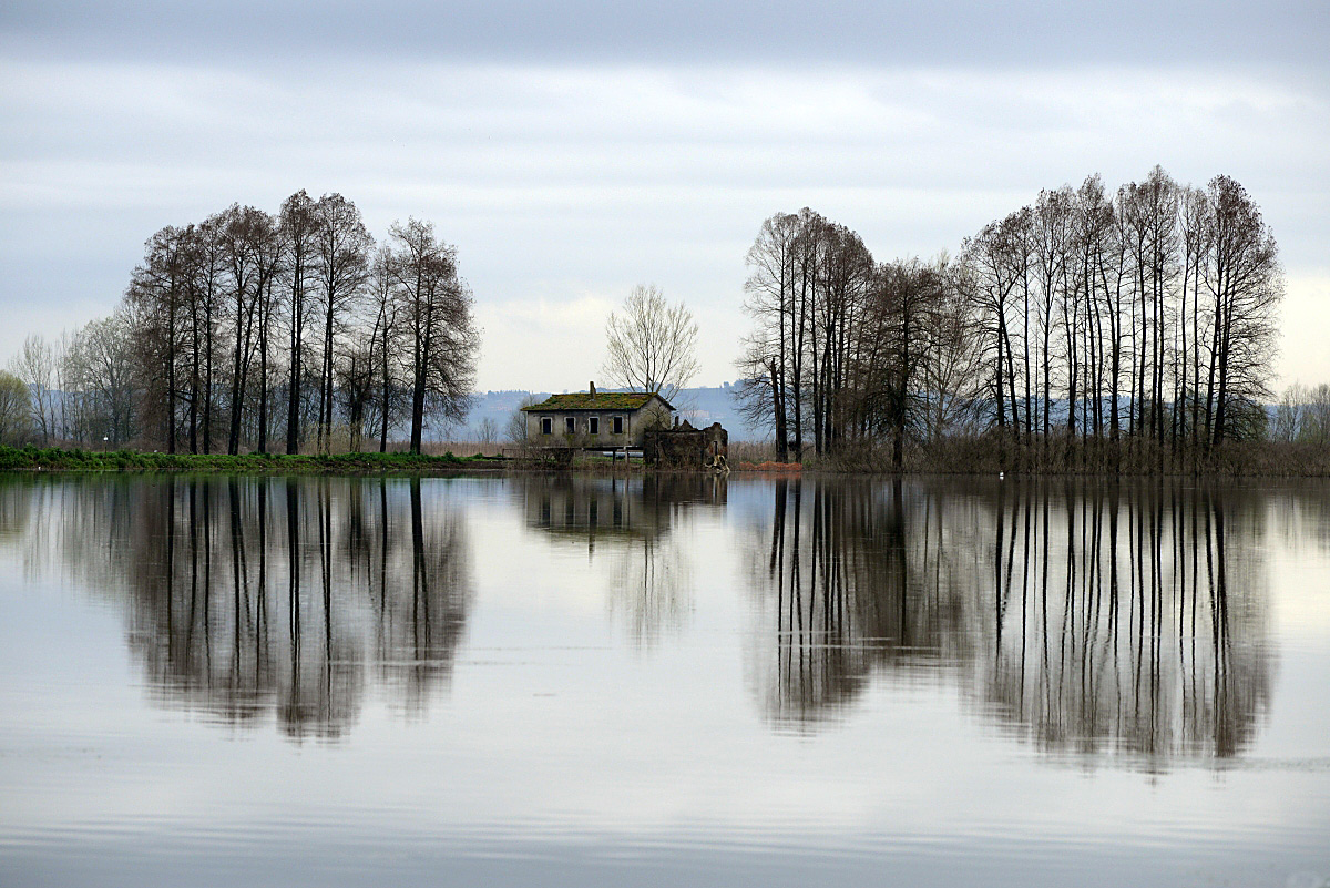 dewatering pump without steccoli