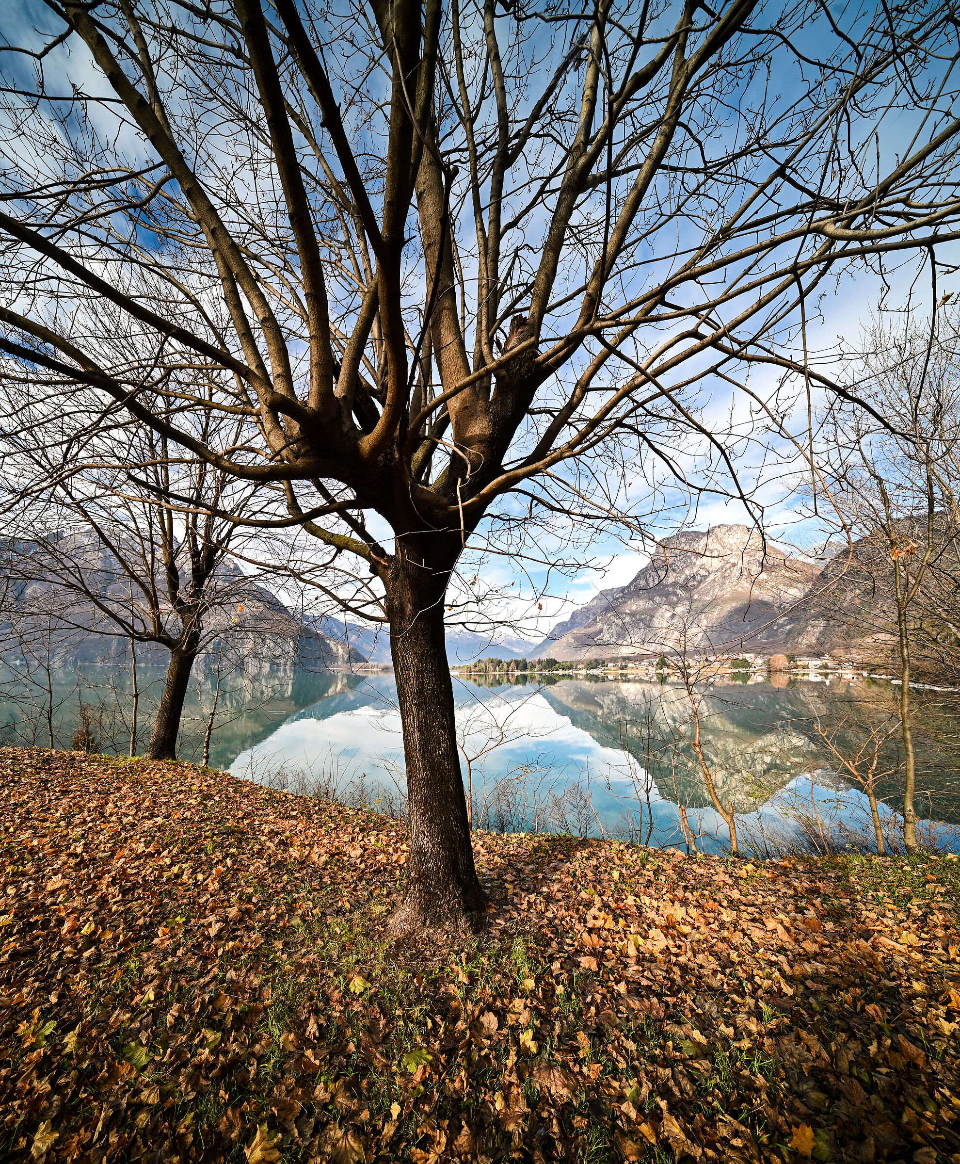 Lake Mezzola (SO)
