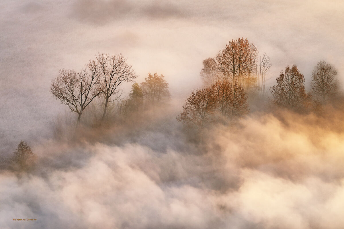 L'autunno volge al termine.