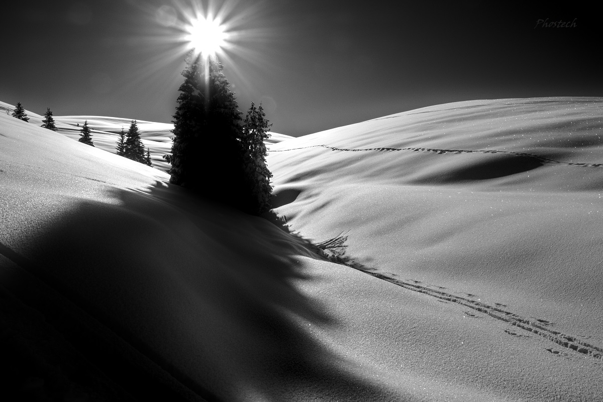 La stella, va sulla punta