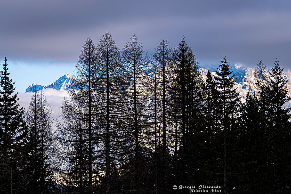 Slight glimmers of light