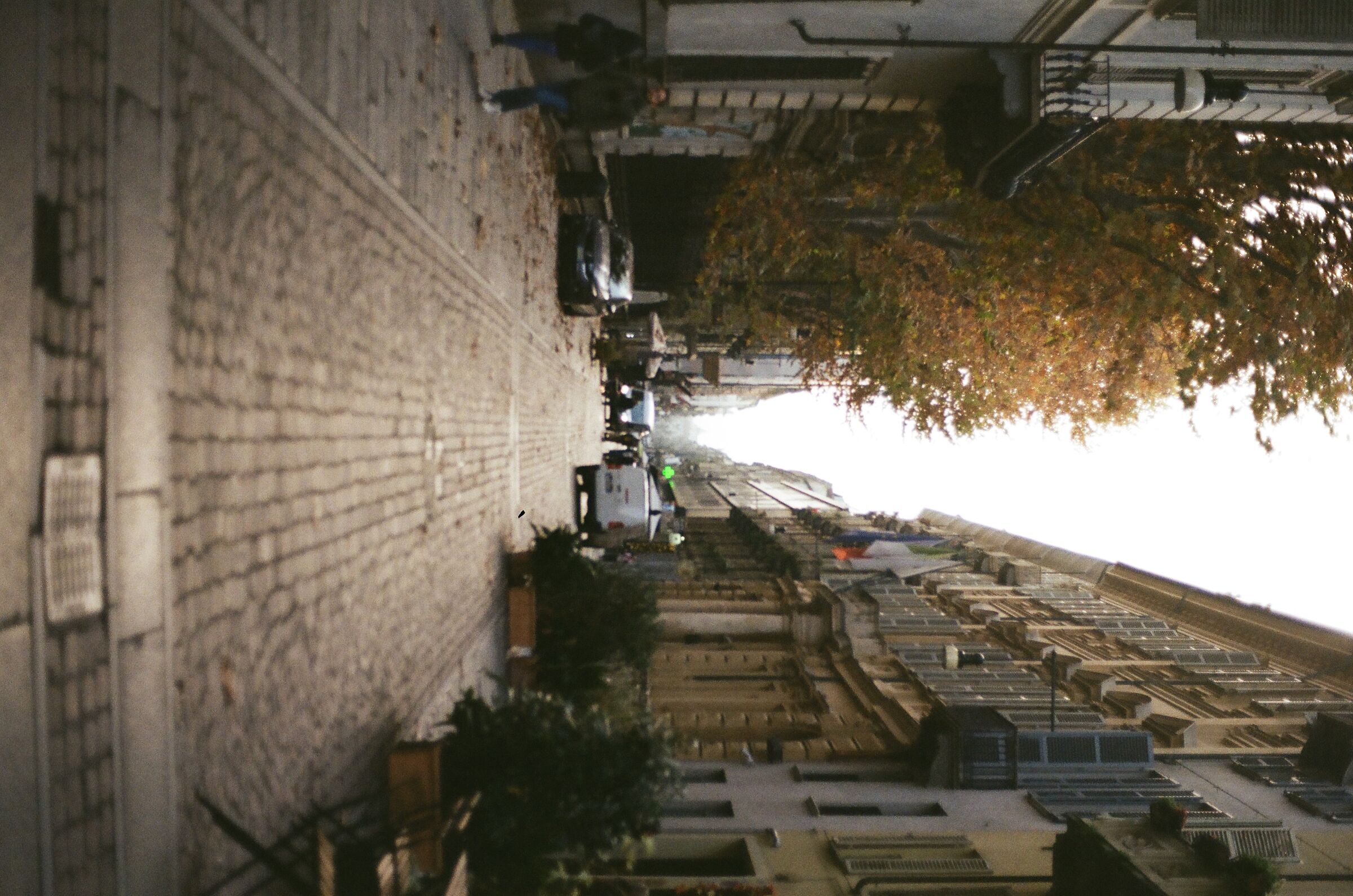 Carlo Alberto Street