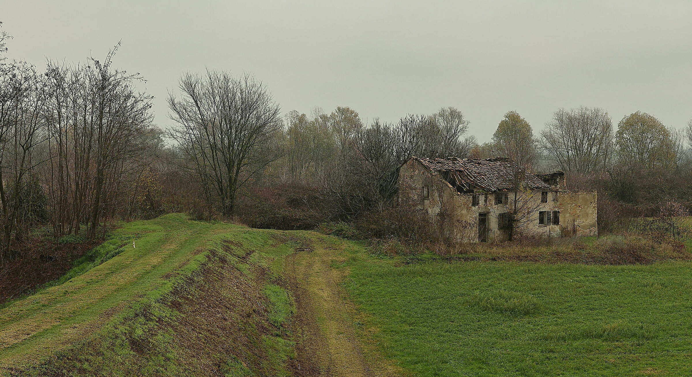 Golena del Po - 02/12/2021