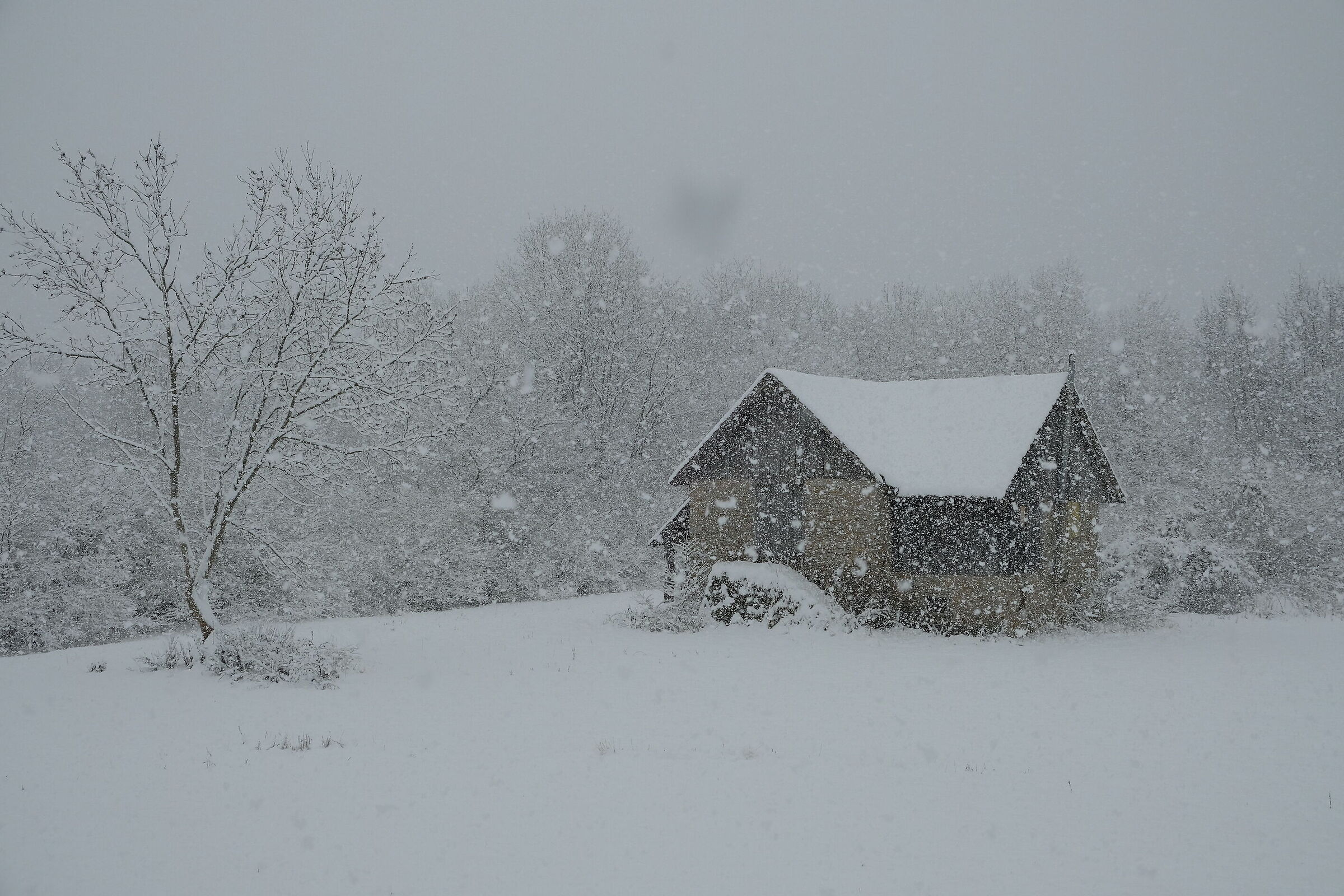 December 5 it snows