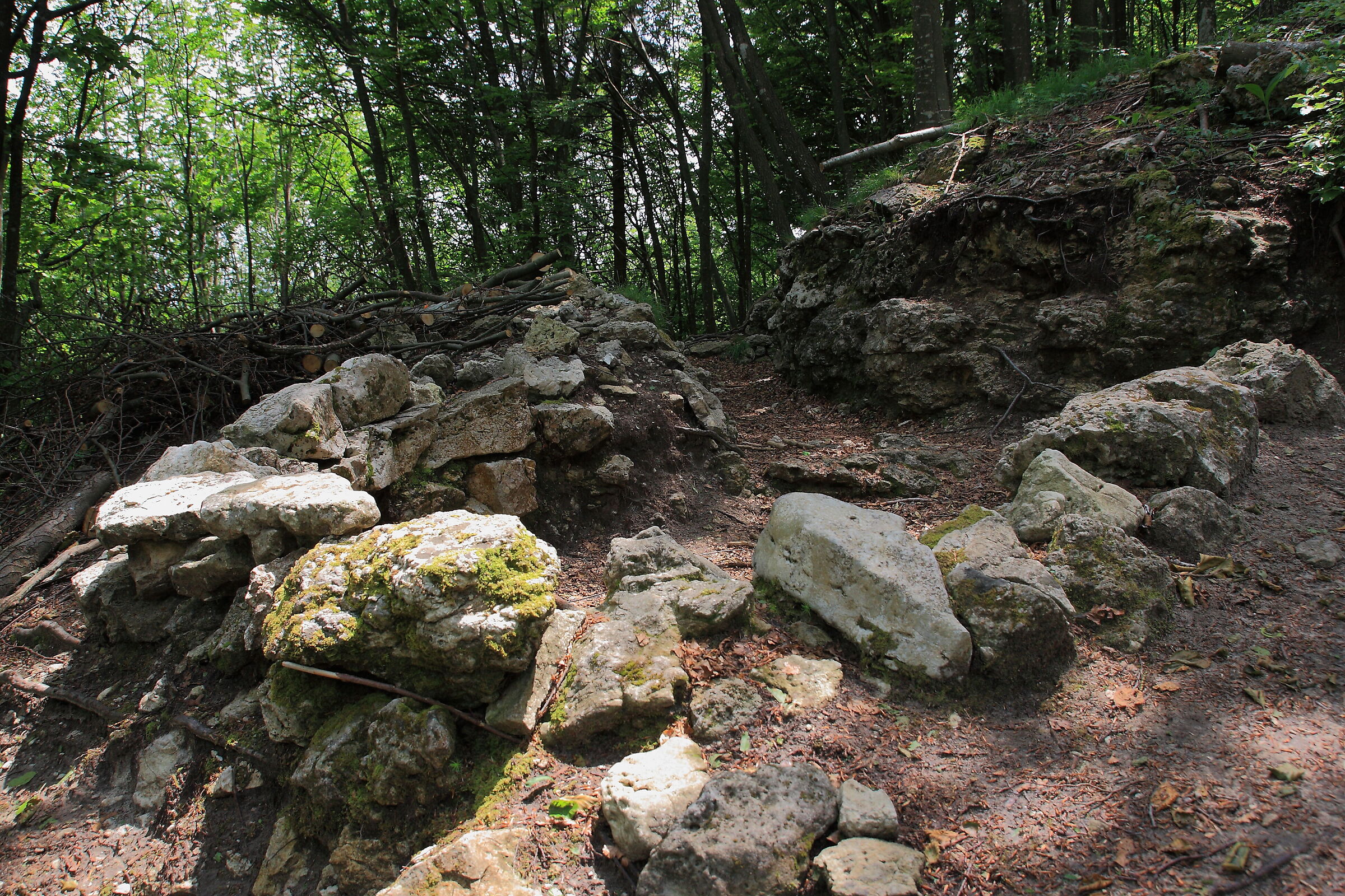 Guerra sul Monfenera