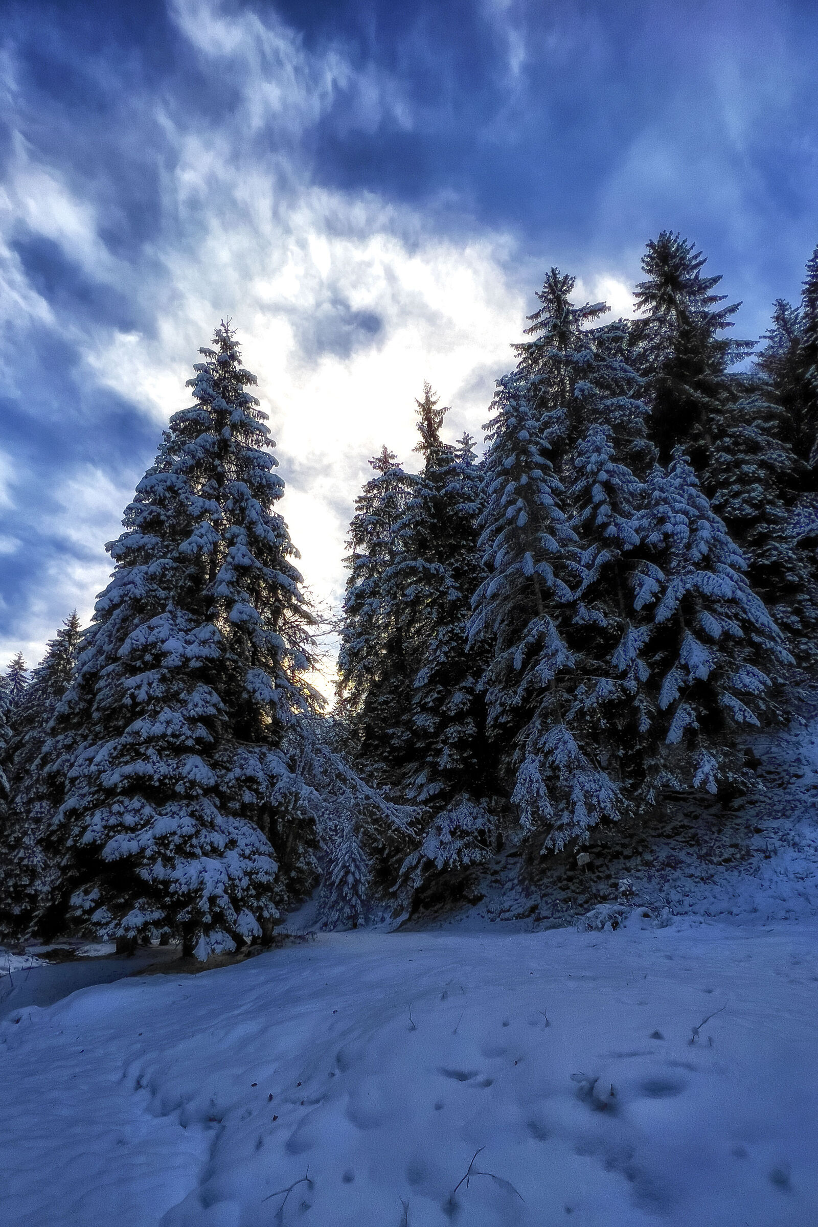 snow