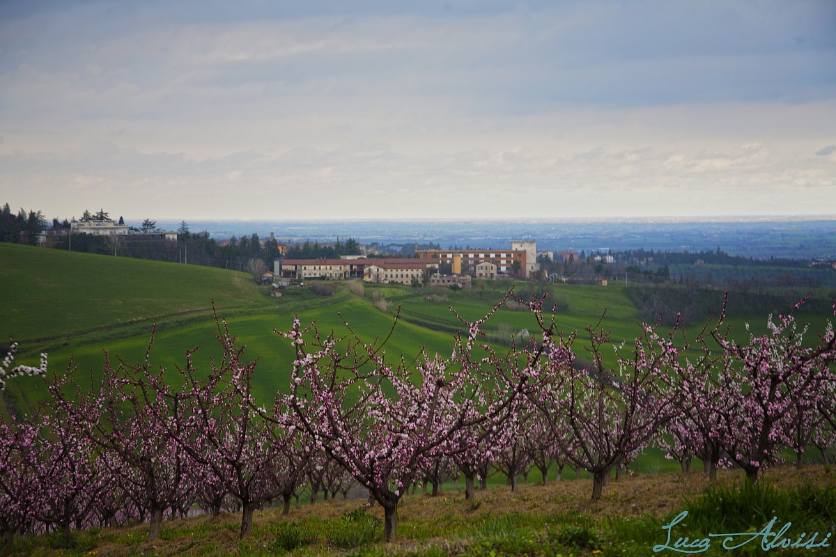 il mio primo paesaggio