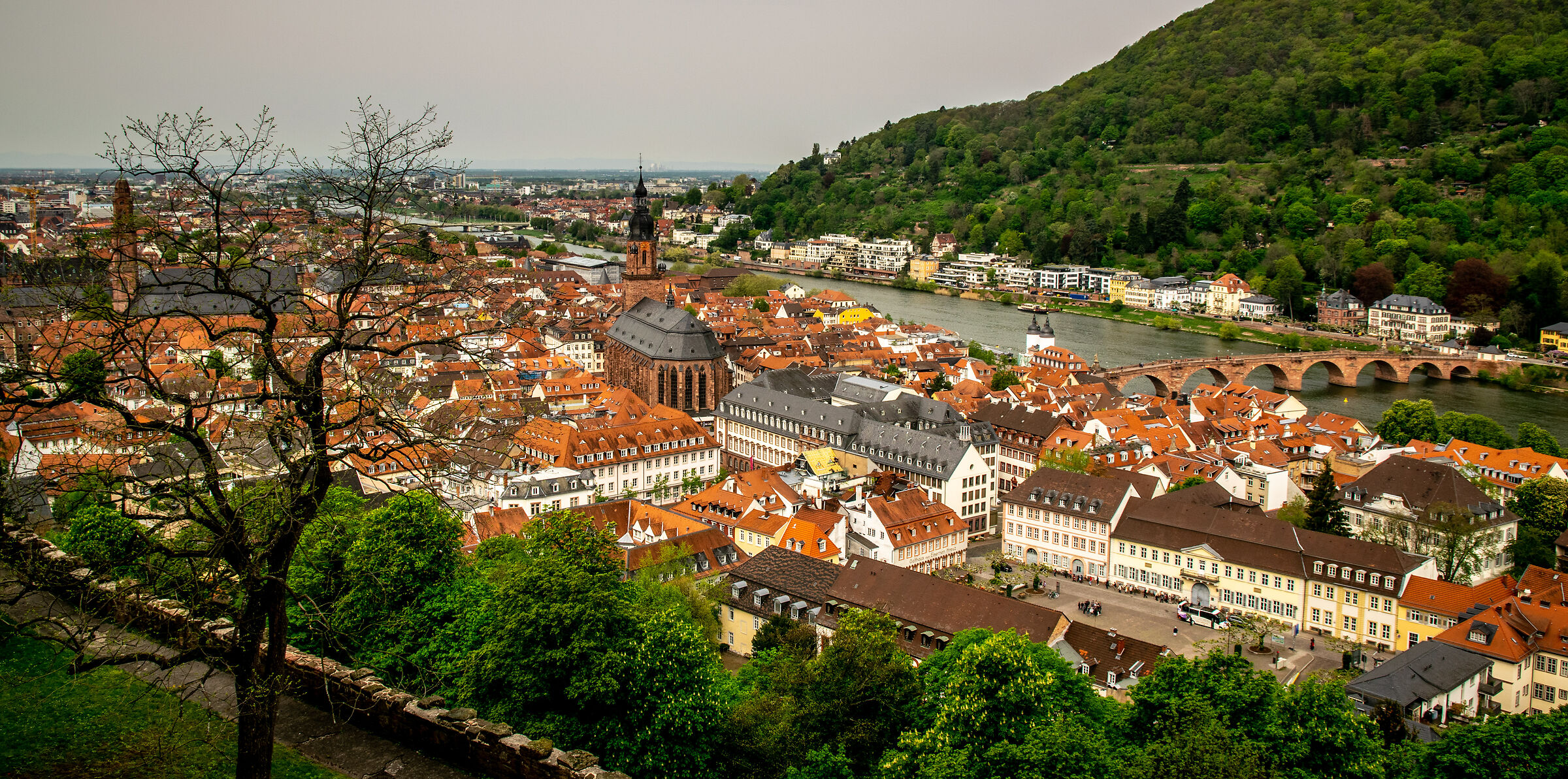 Heidelberg