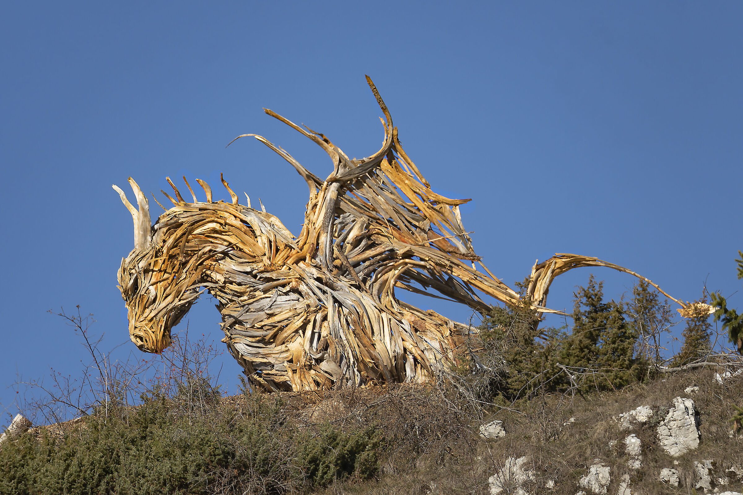 Lavarone - Vaia Dragon