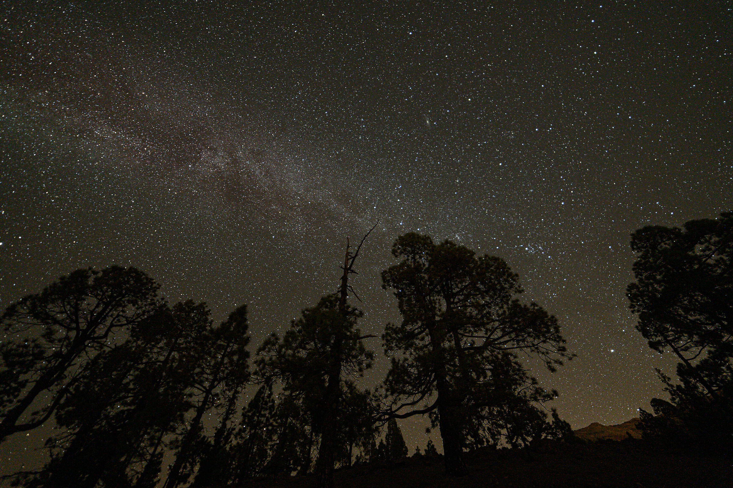 Via lattea sulla strada per il Teide (Tenerife)