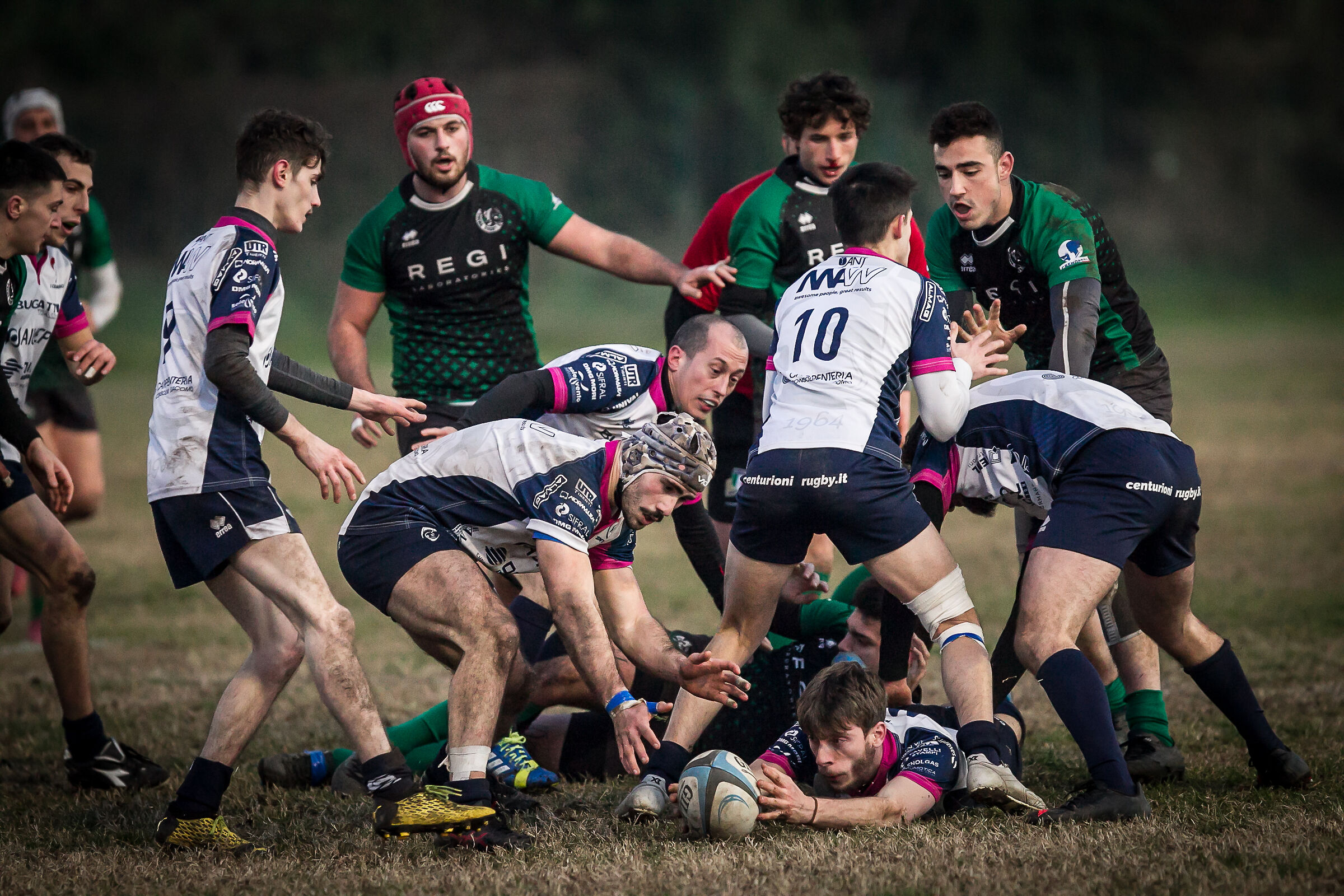 Crema Rugby