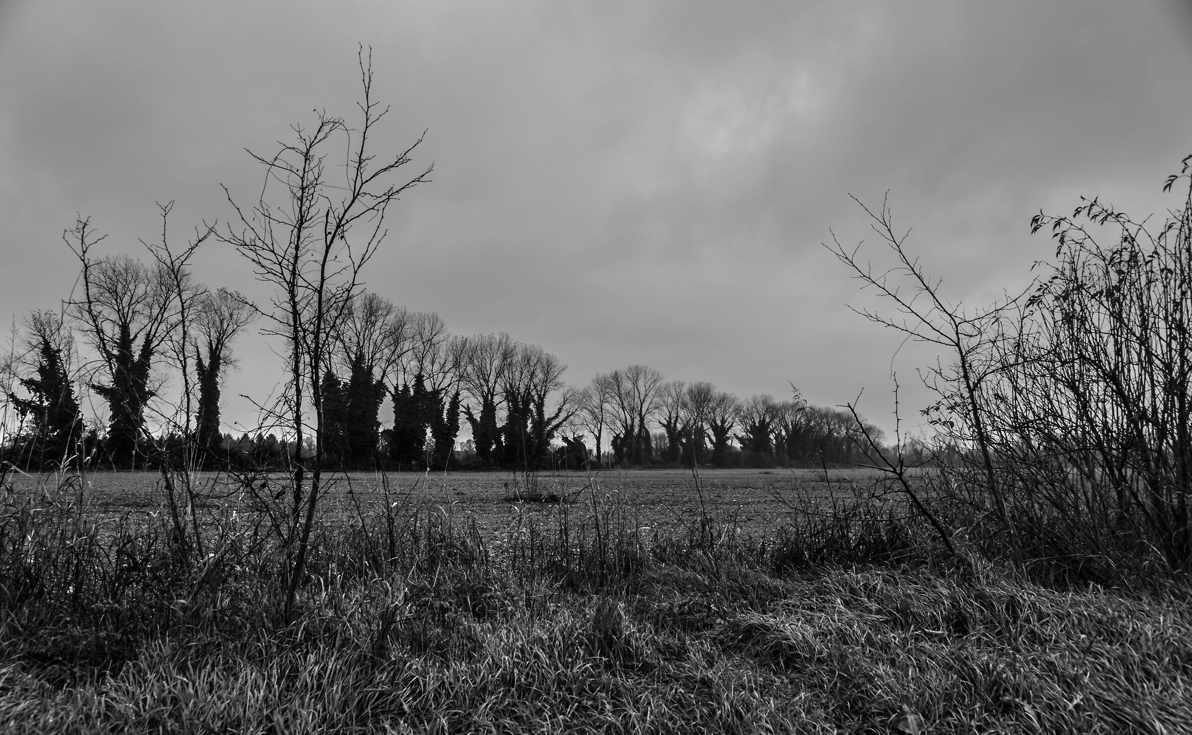 desolazione di fine autunno