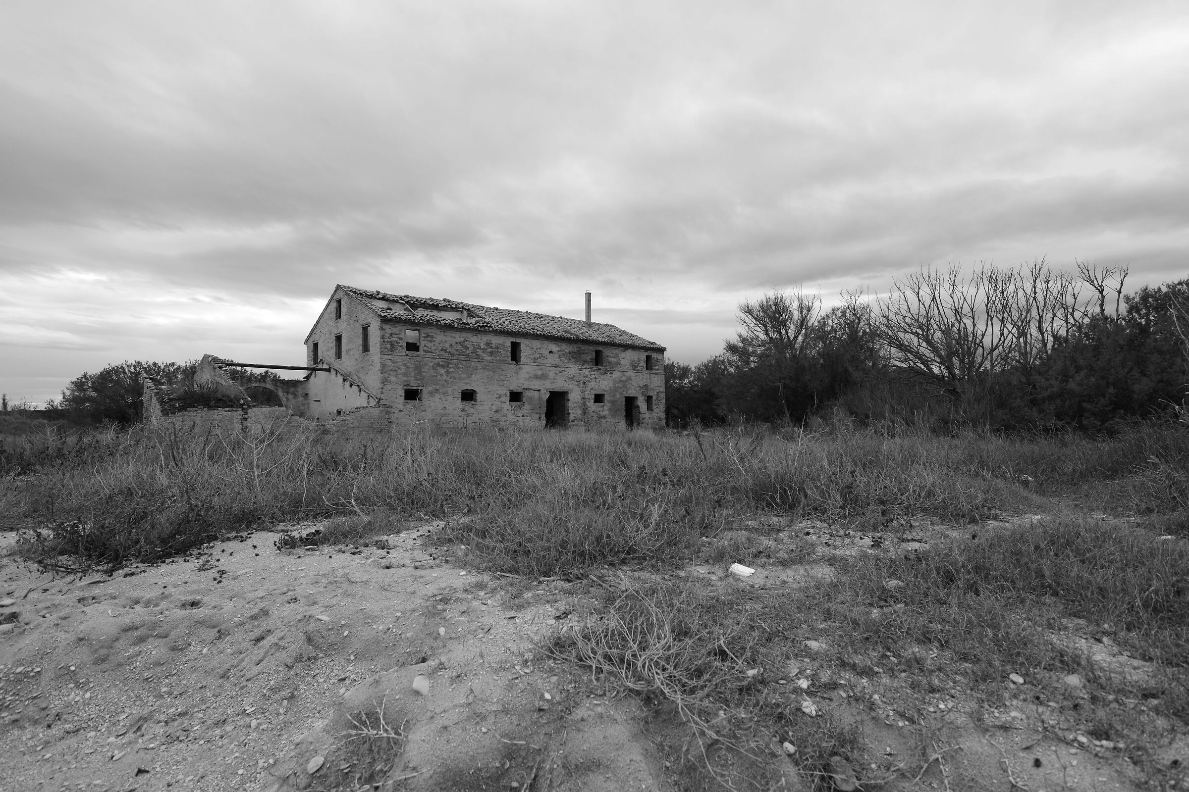The house by the sea