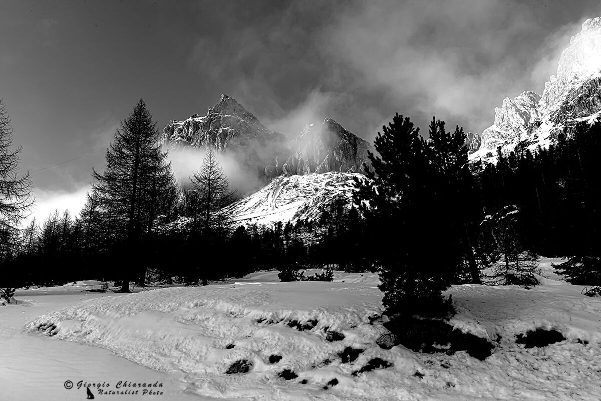 A bit of B&W is there