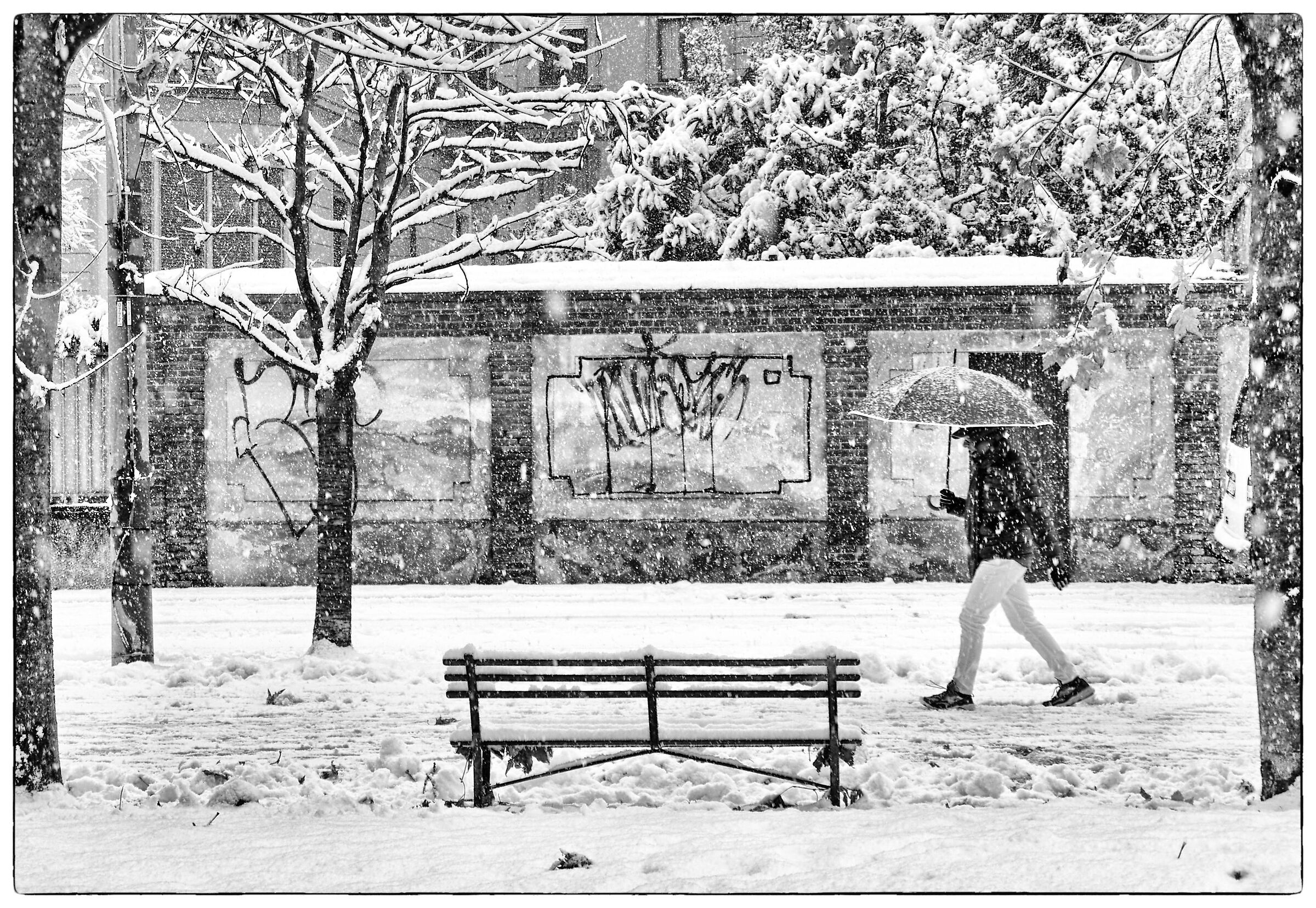 prima neve in citta'