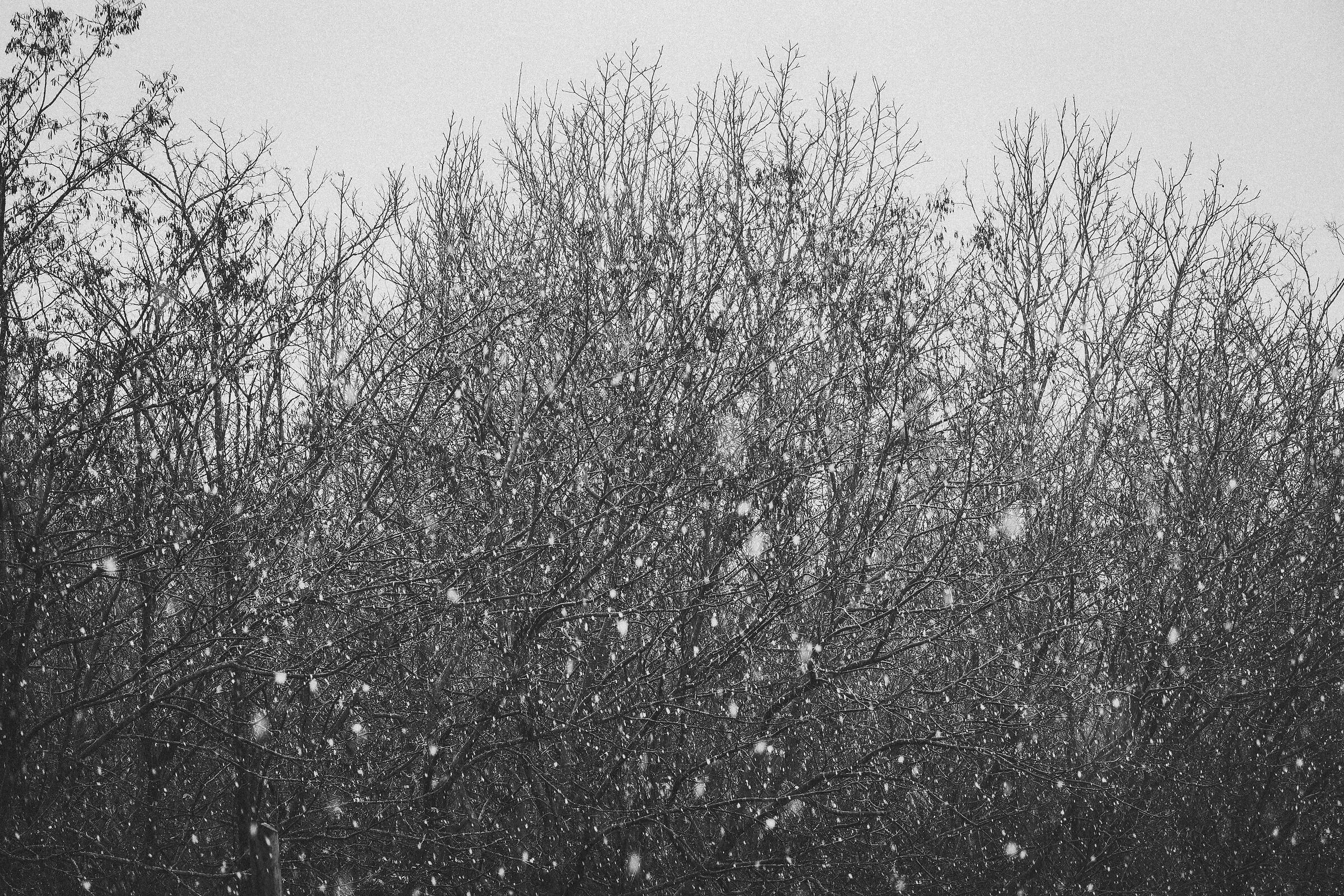Untitled Photo