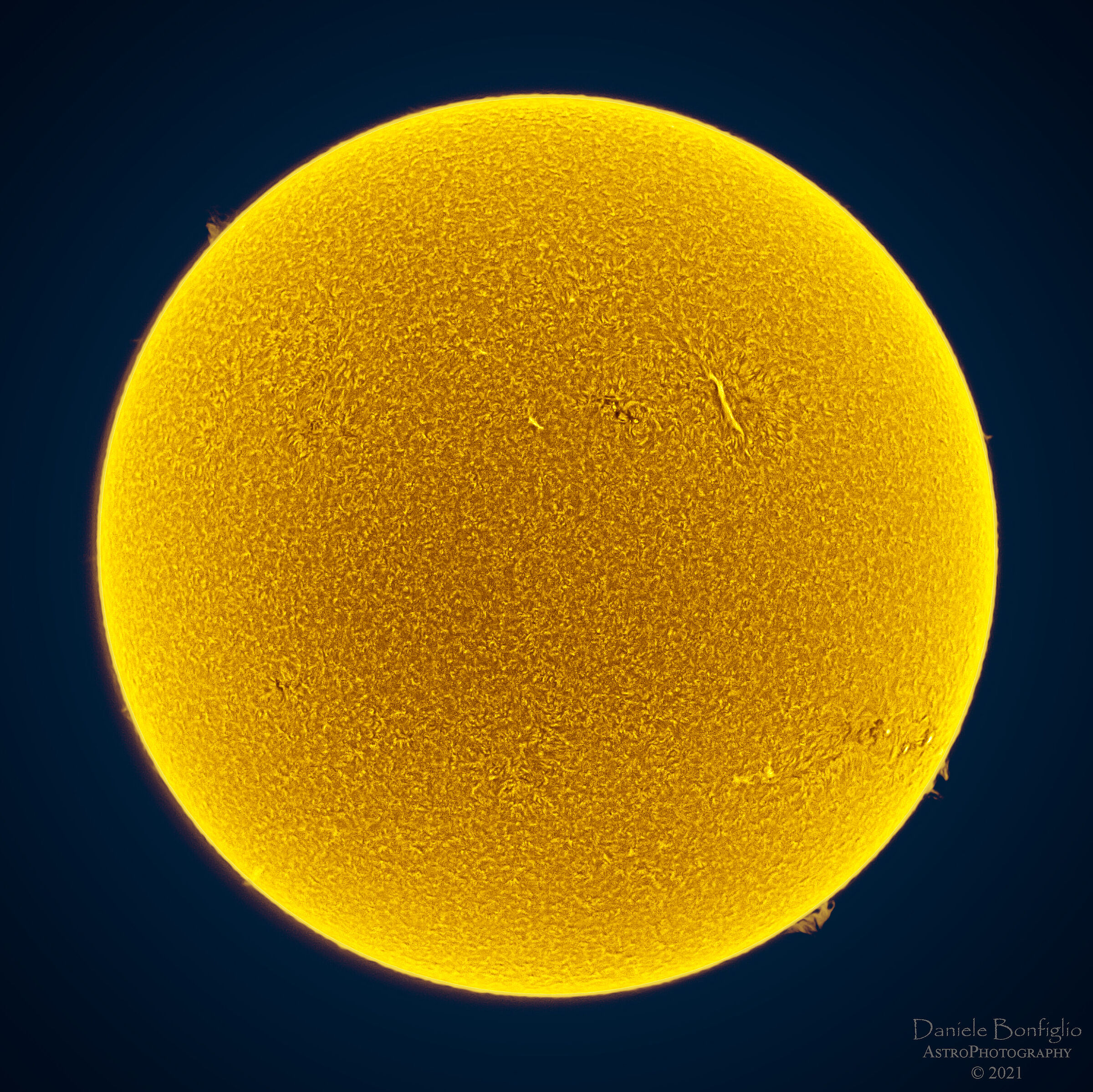 Sun in H-alpha of 01/12/2021 (full disk)