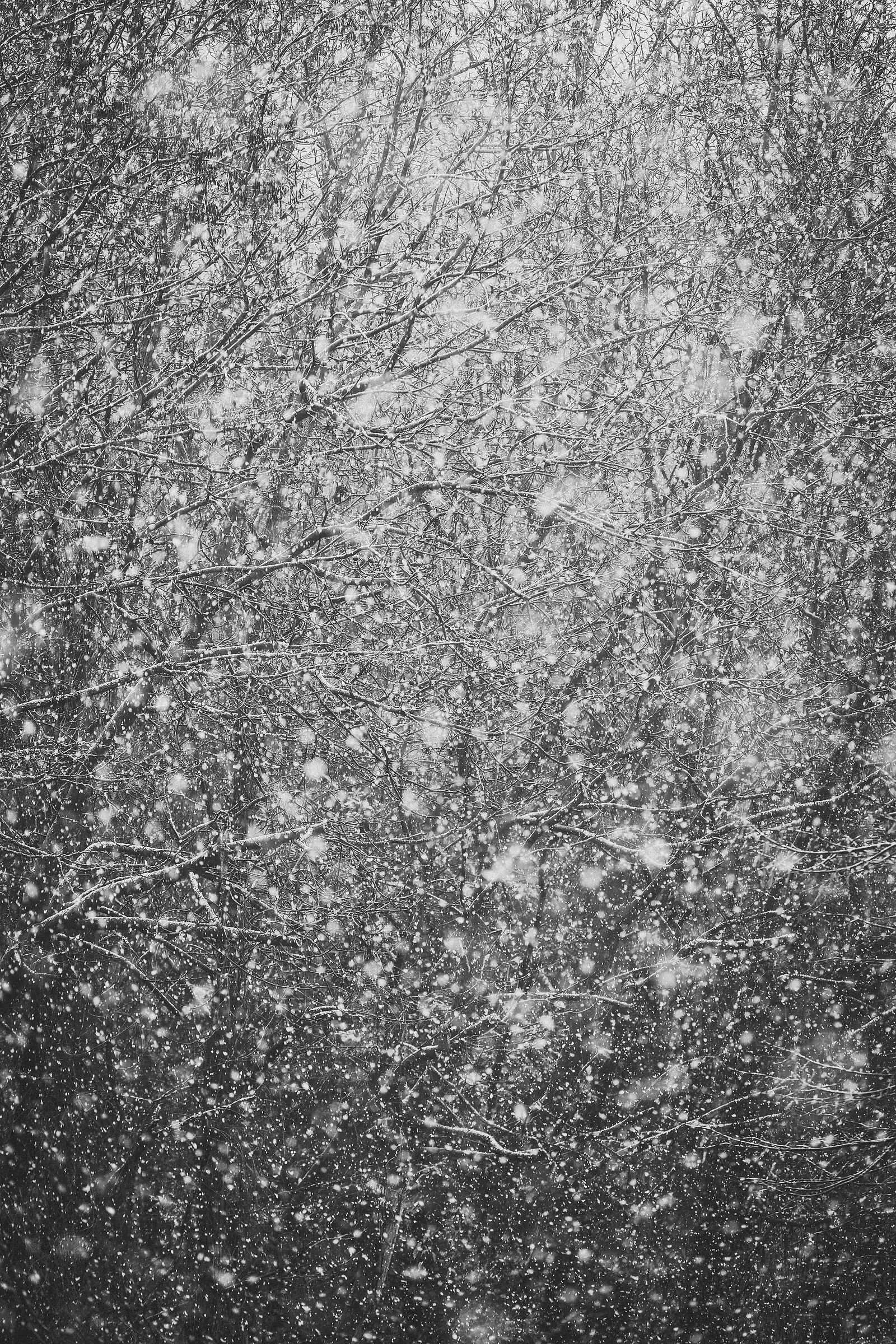 Untitled Photo