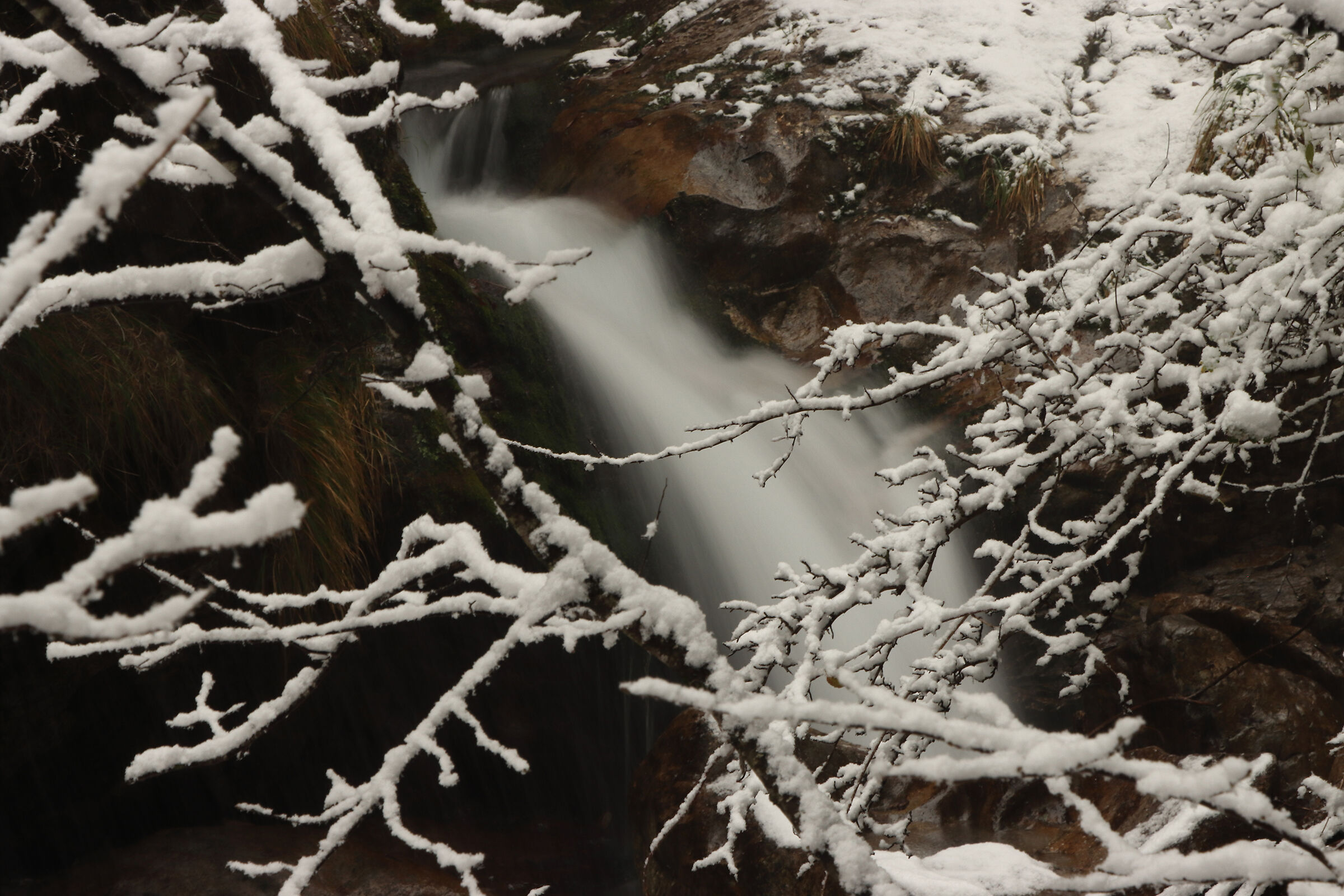 V A L V E R T O V A  -  tra la neve