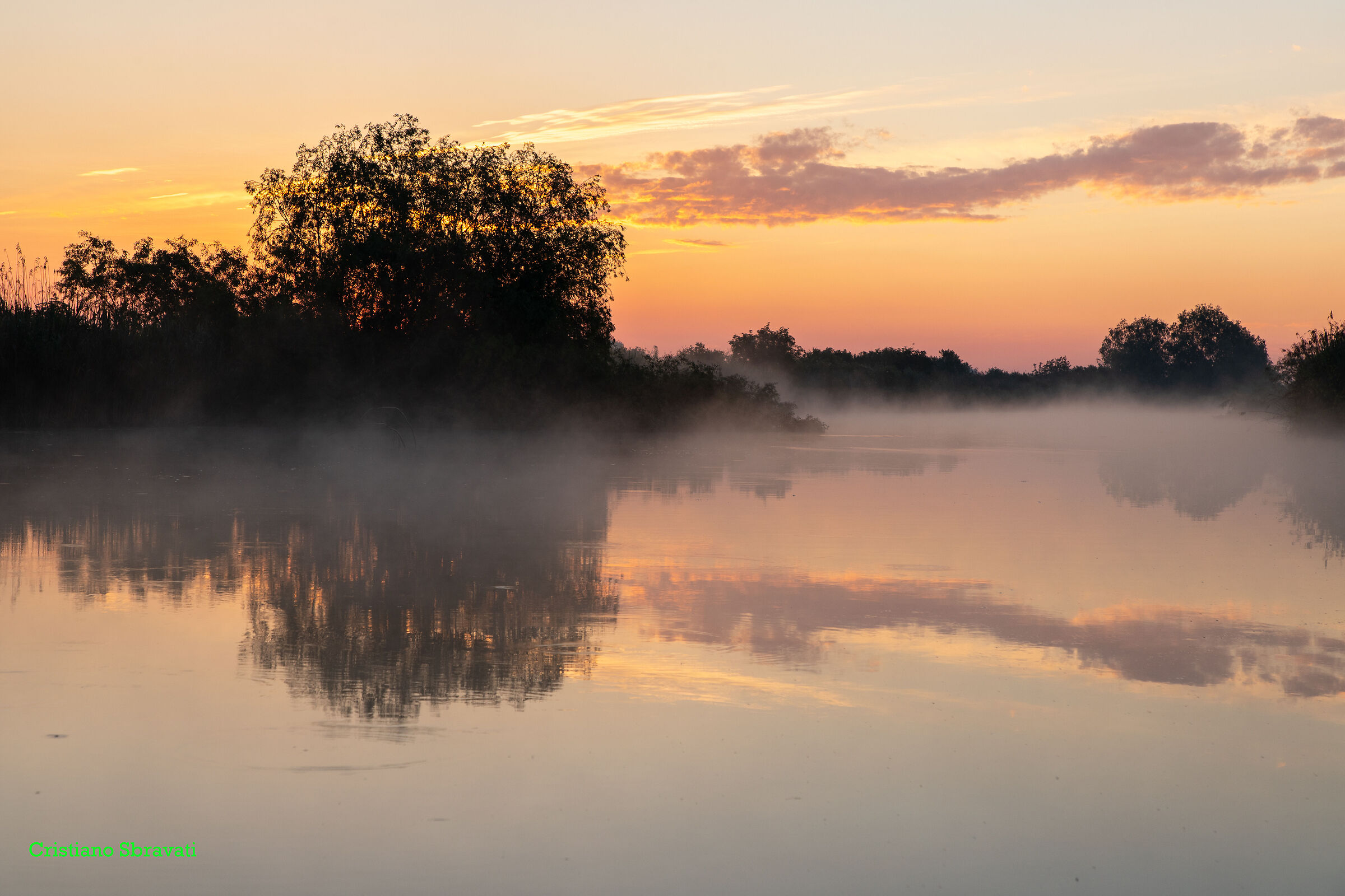 Sunrise among the reeds