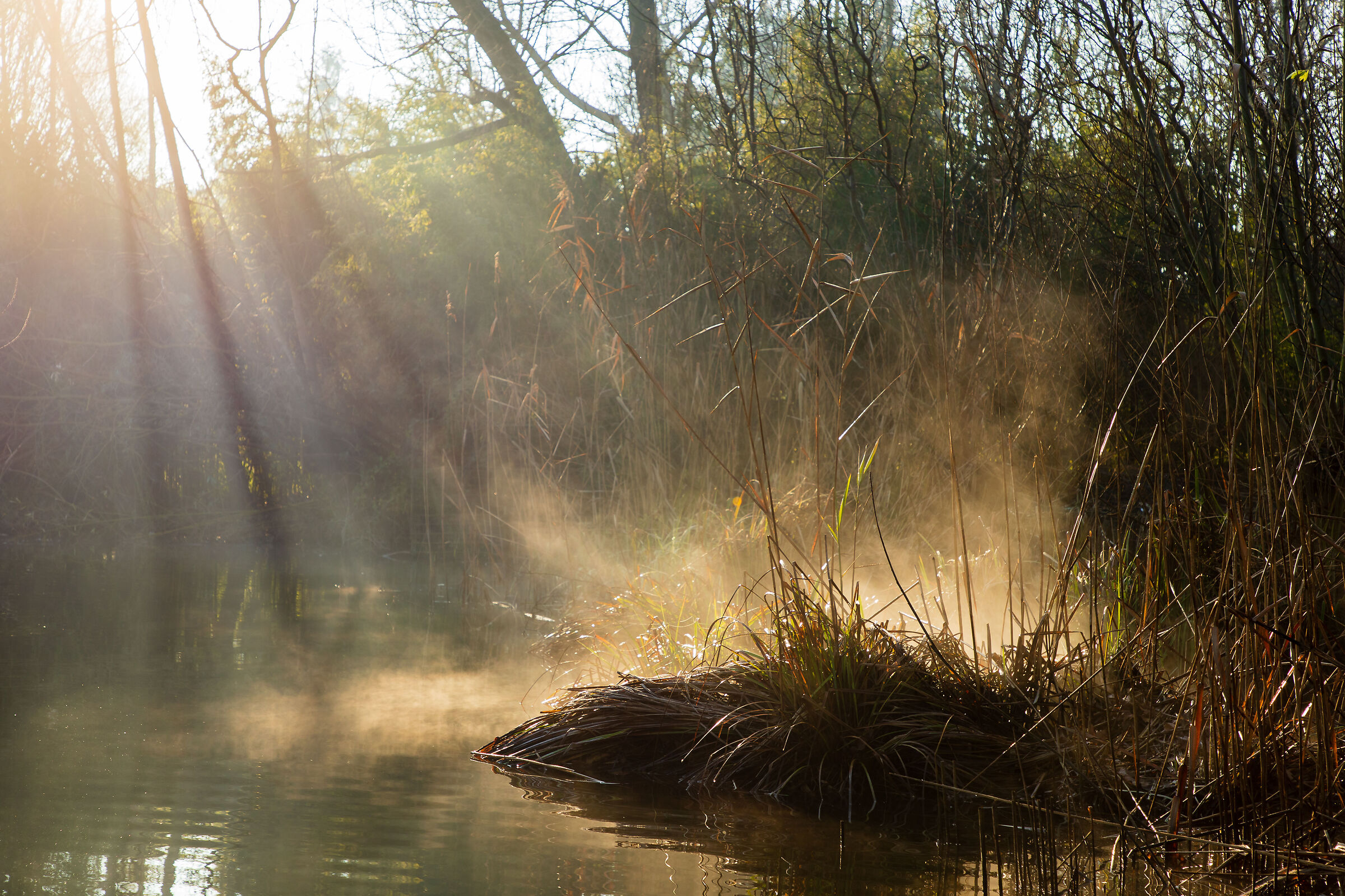 First rays of sunshine