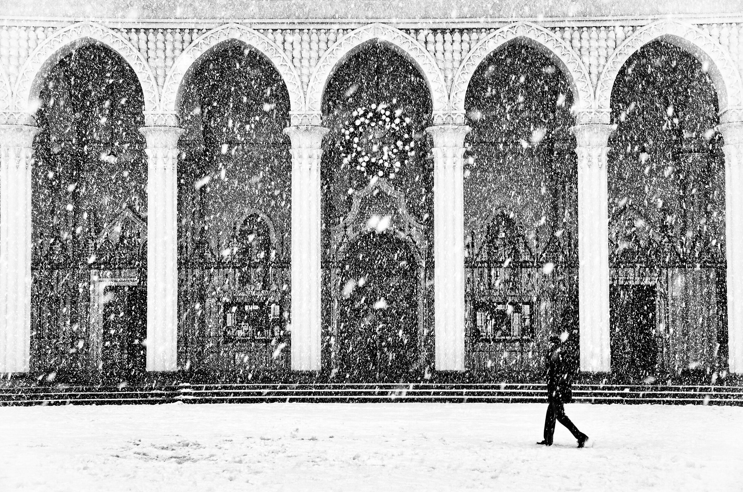 vedessi come nevica...