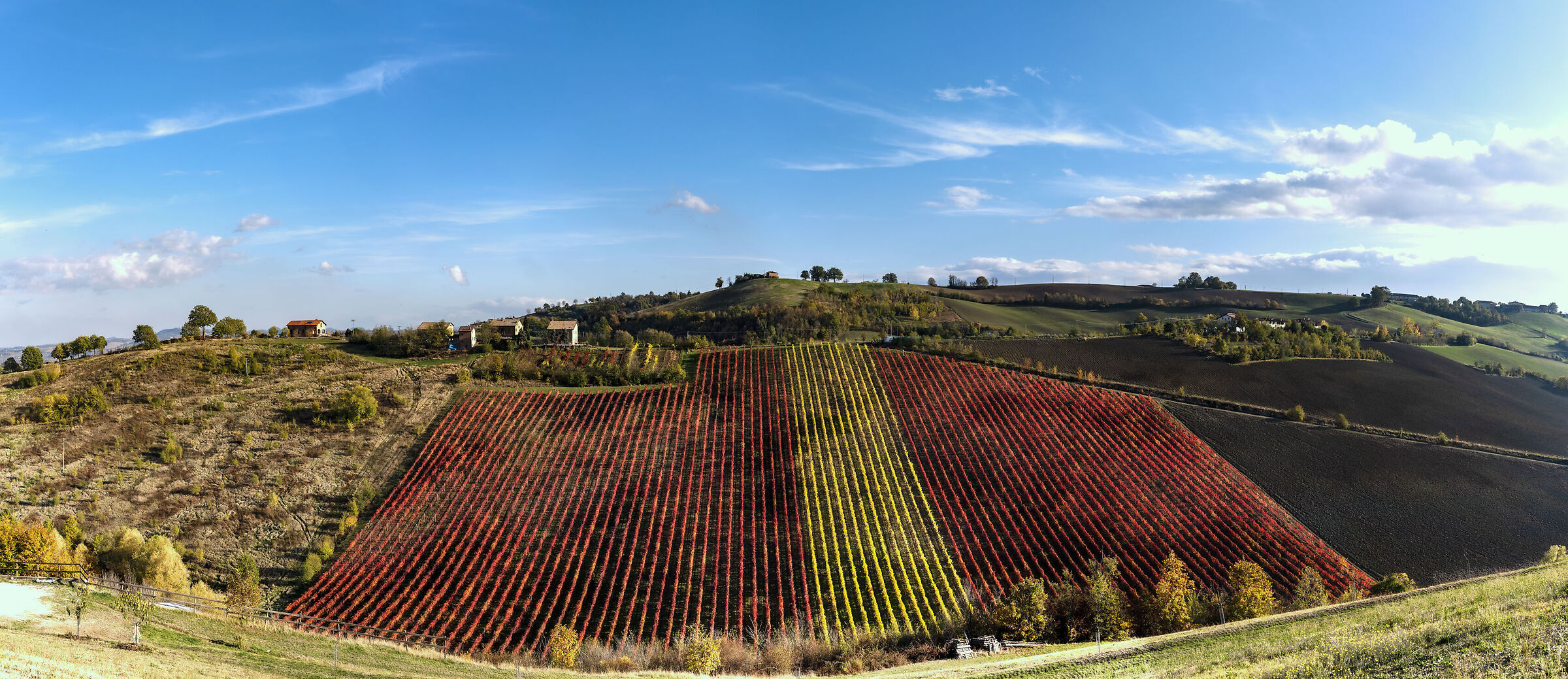 foliage via s. pietro