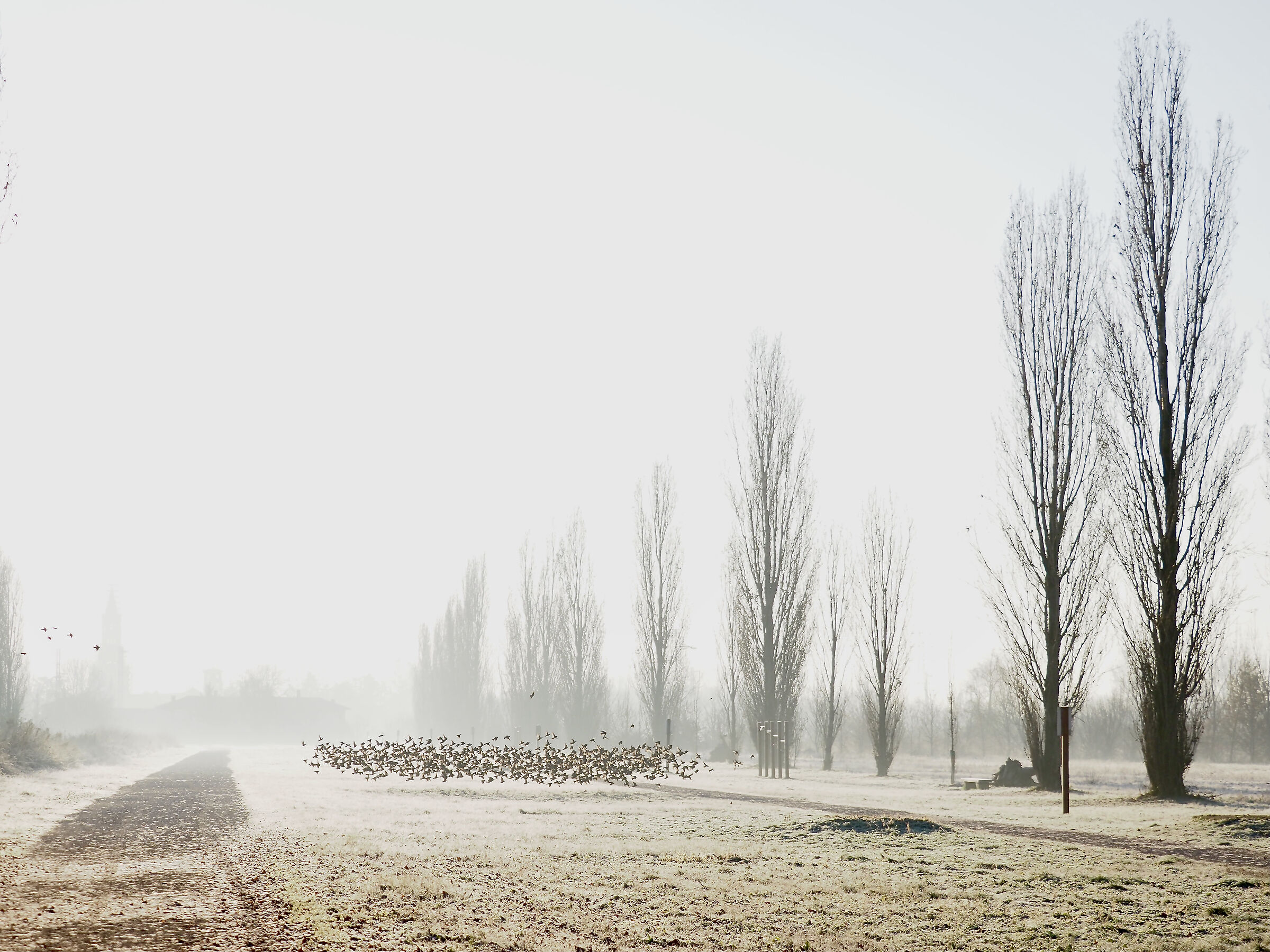 Late autumn at the Vettabbia Park