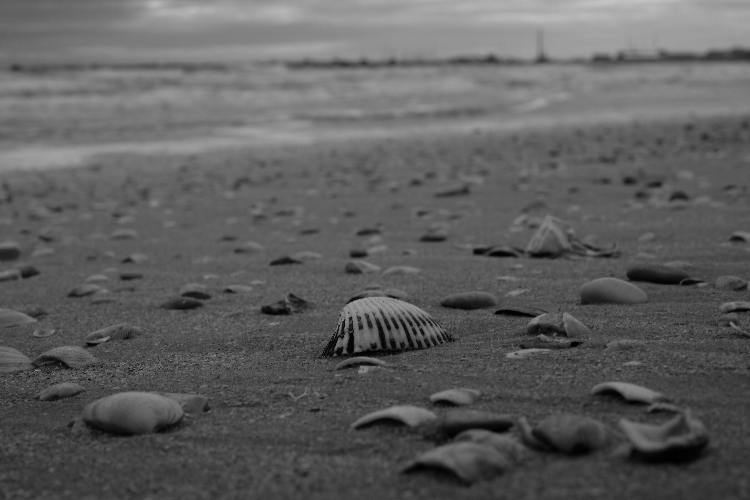 Shell rain