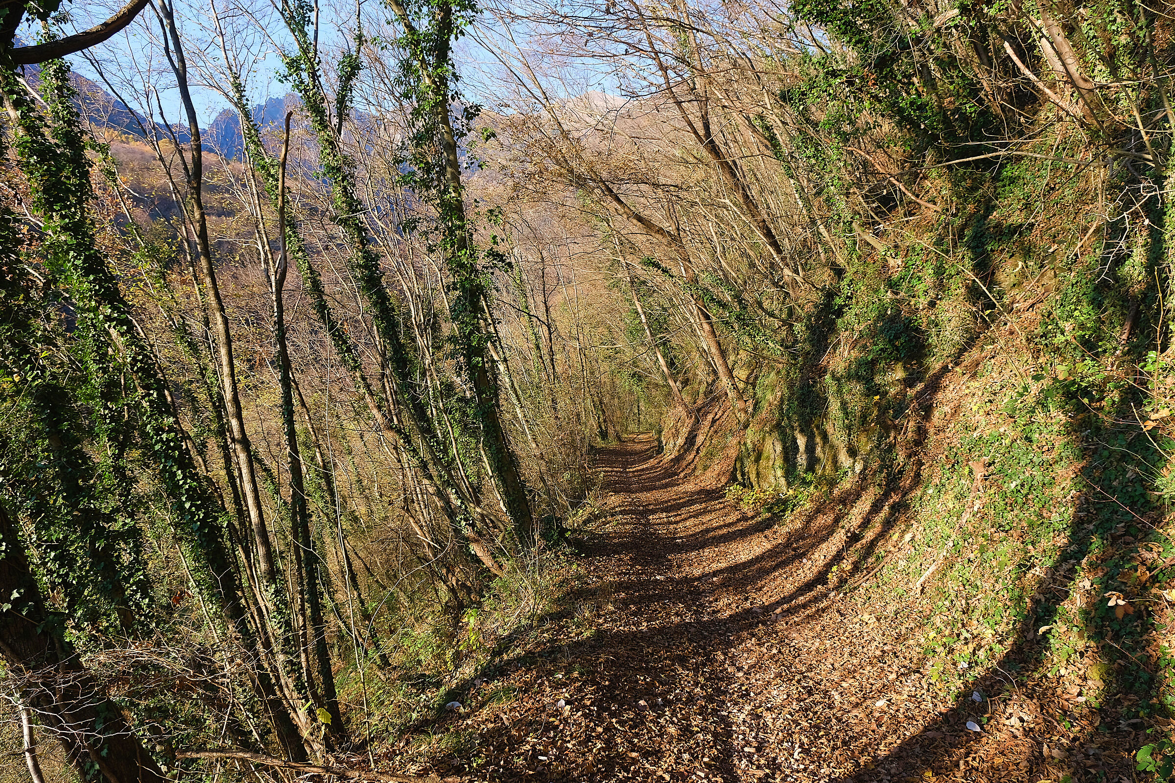 Sentiero casi luminoso