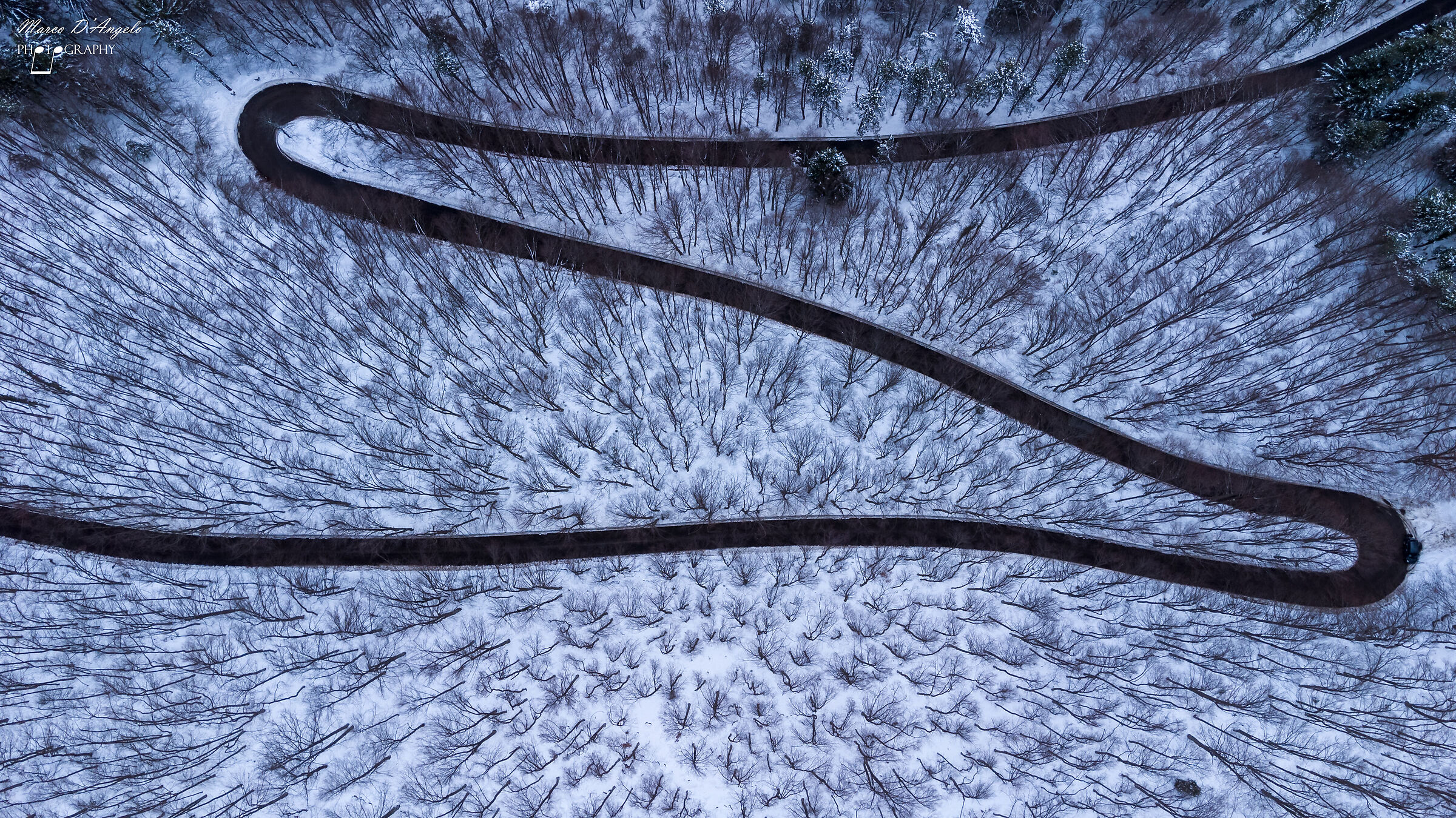 Tra i boschi della Maiella