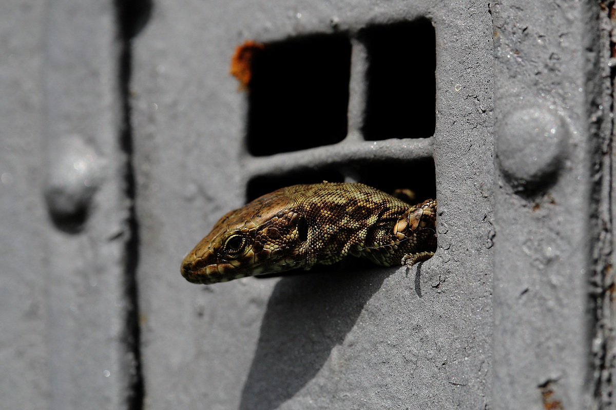 The hibernation is over.