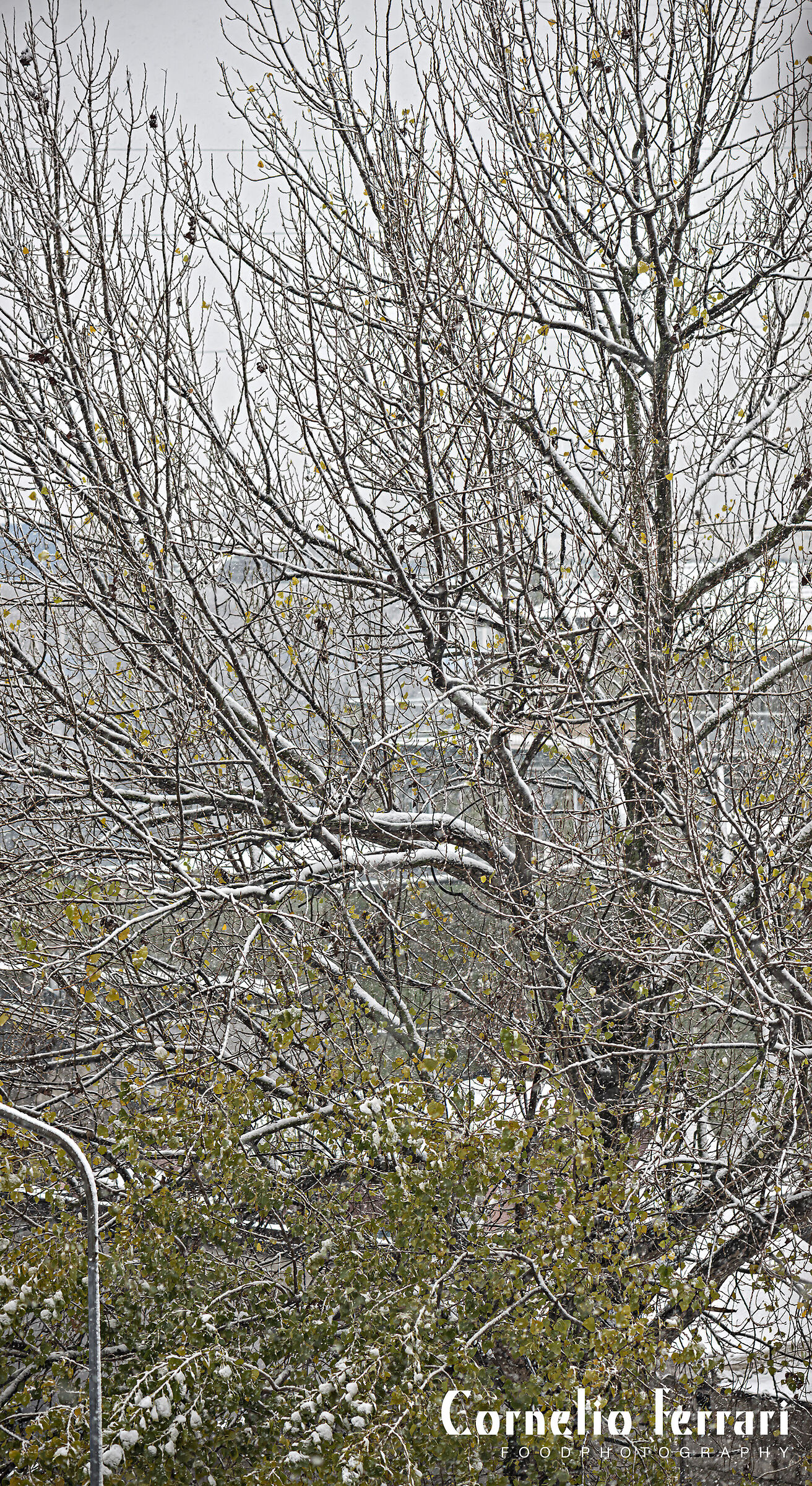 dal balcone di casa 2