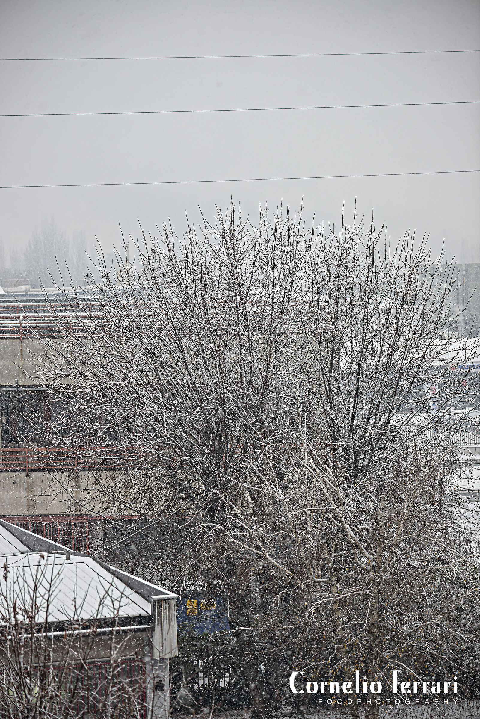 dal balcone di casa 3