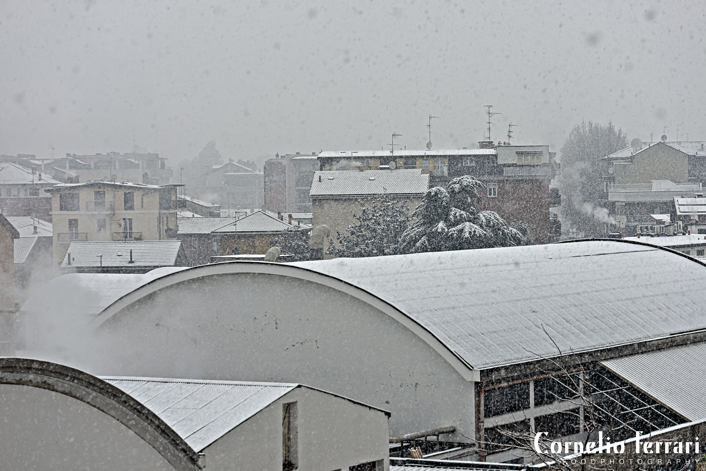 dal balcone di casa 6