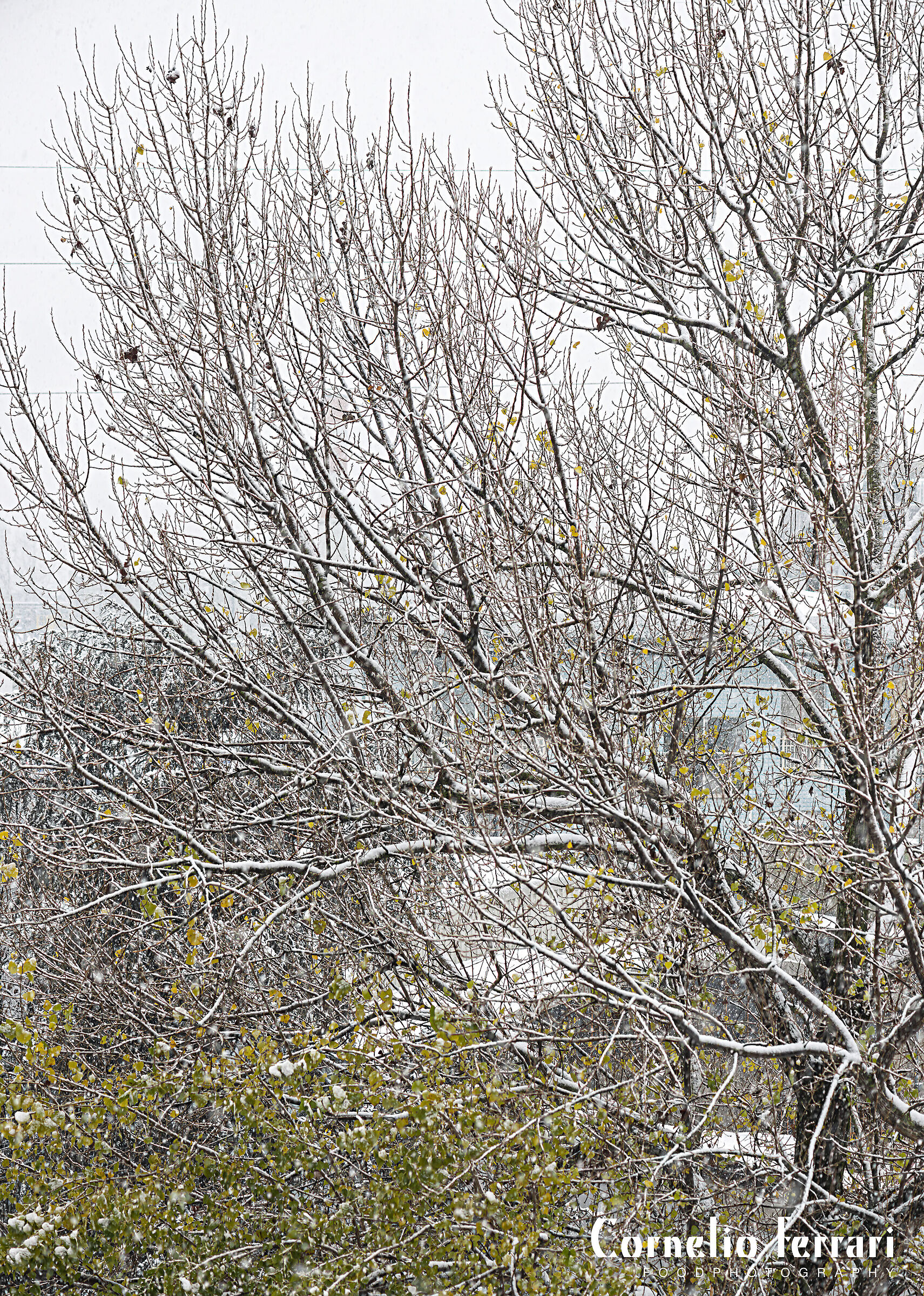 dal balcone di casa 7