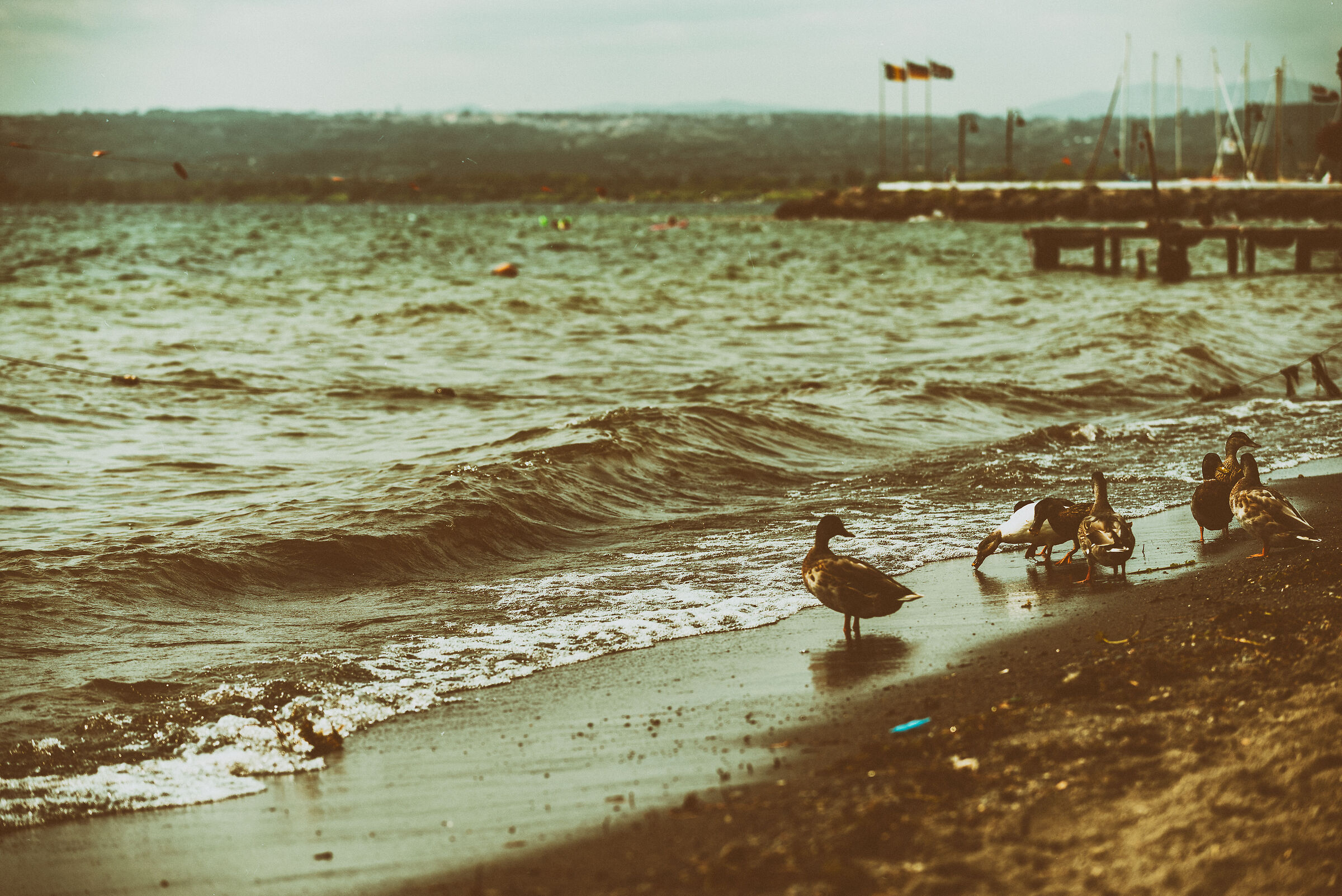 Bolsena
