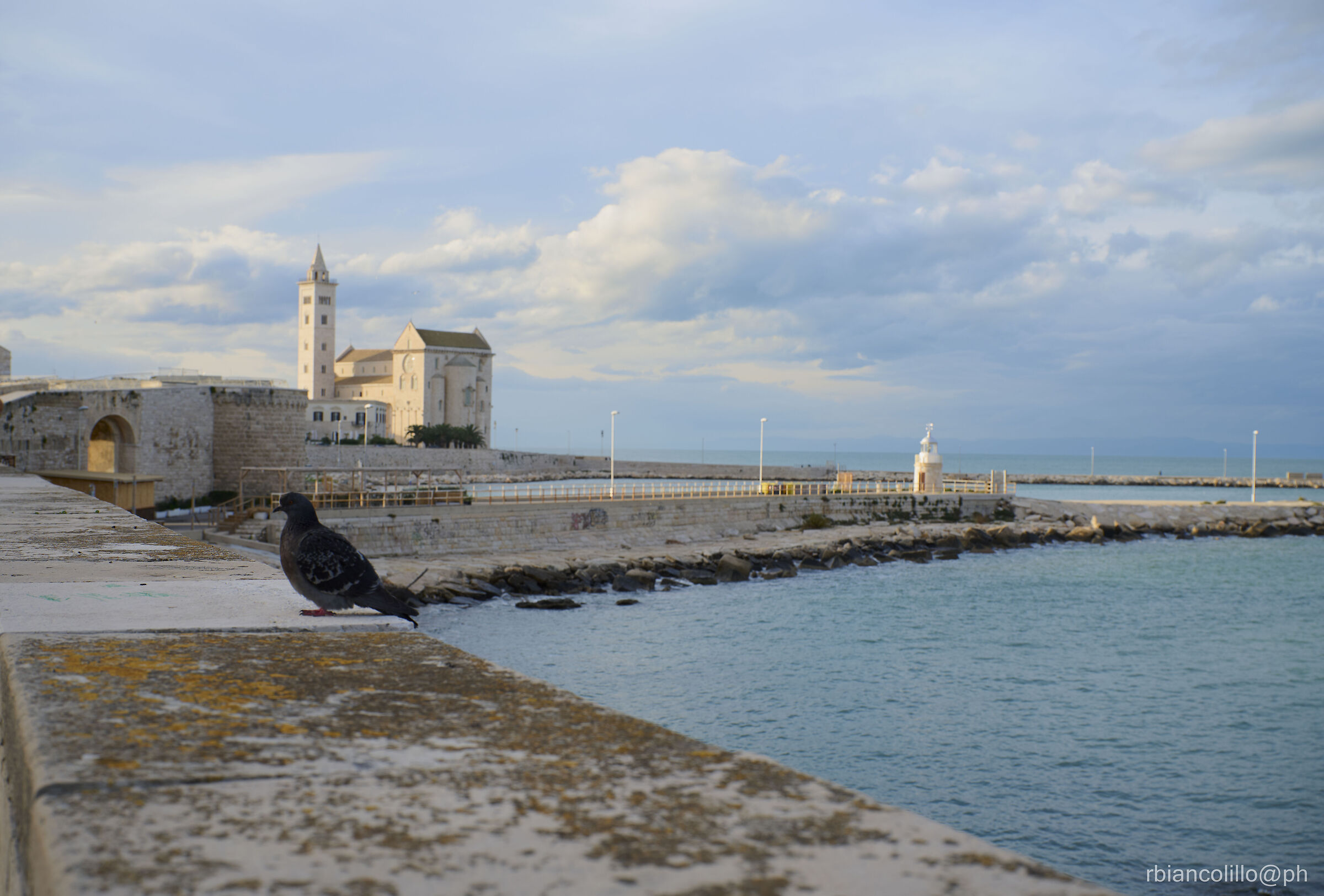 THE CATHEDRAL OF TRANI
