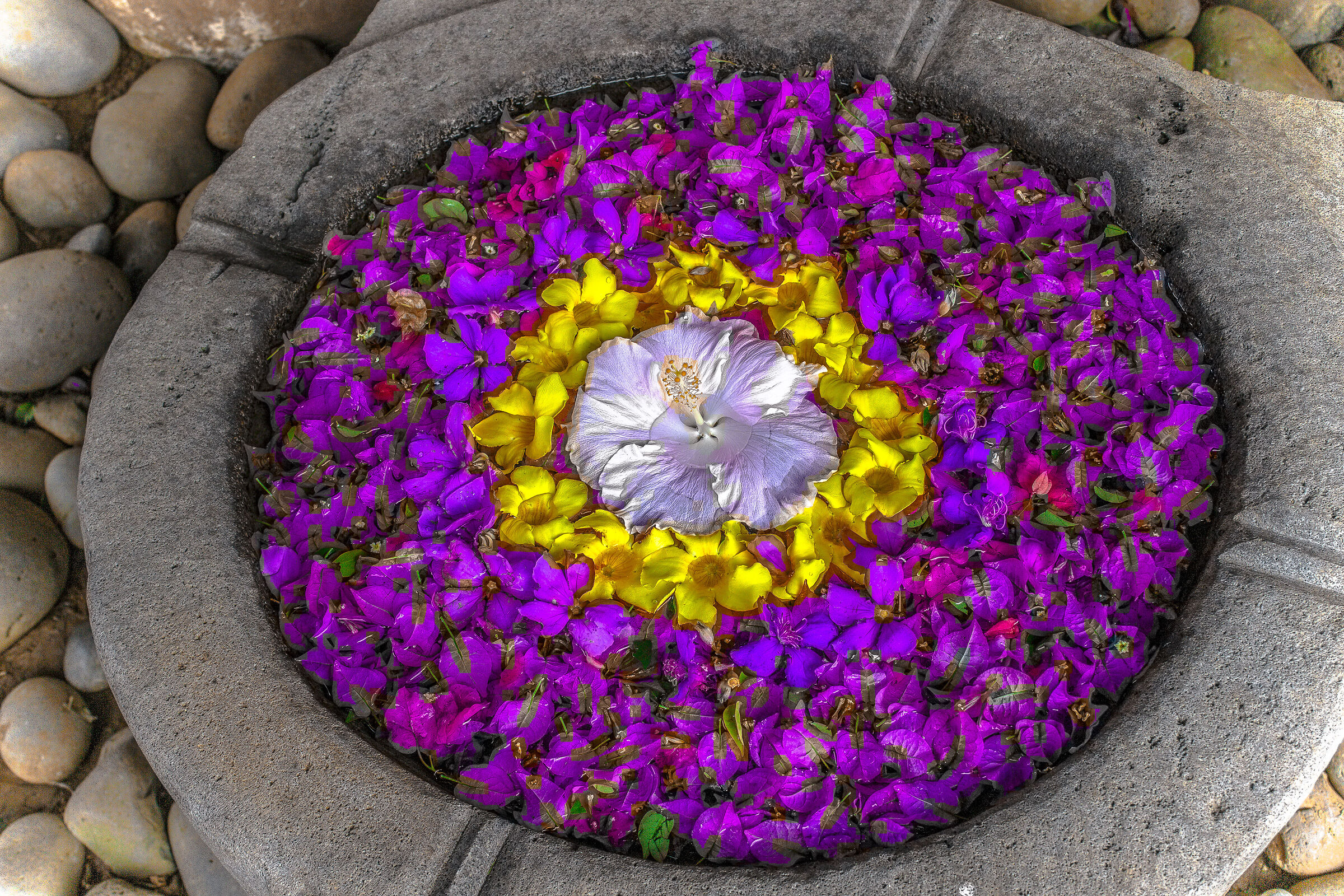 petals of chamarel mauritius