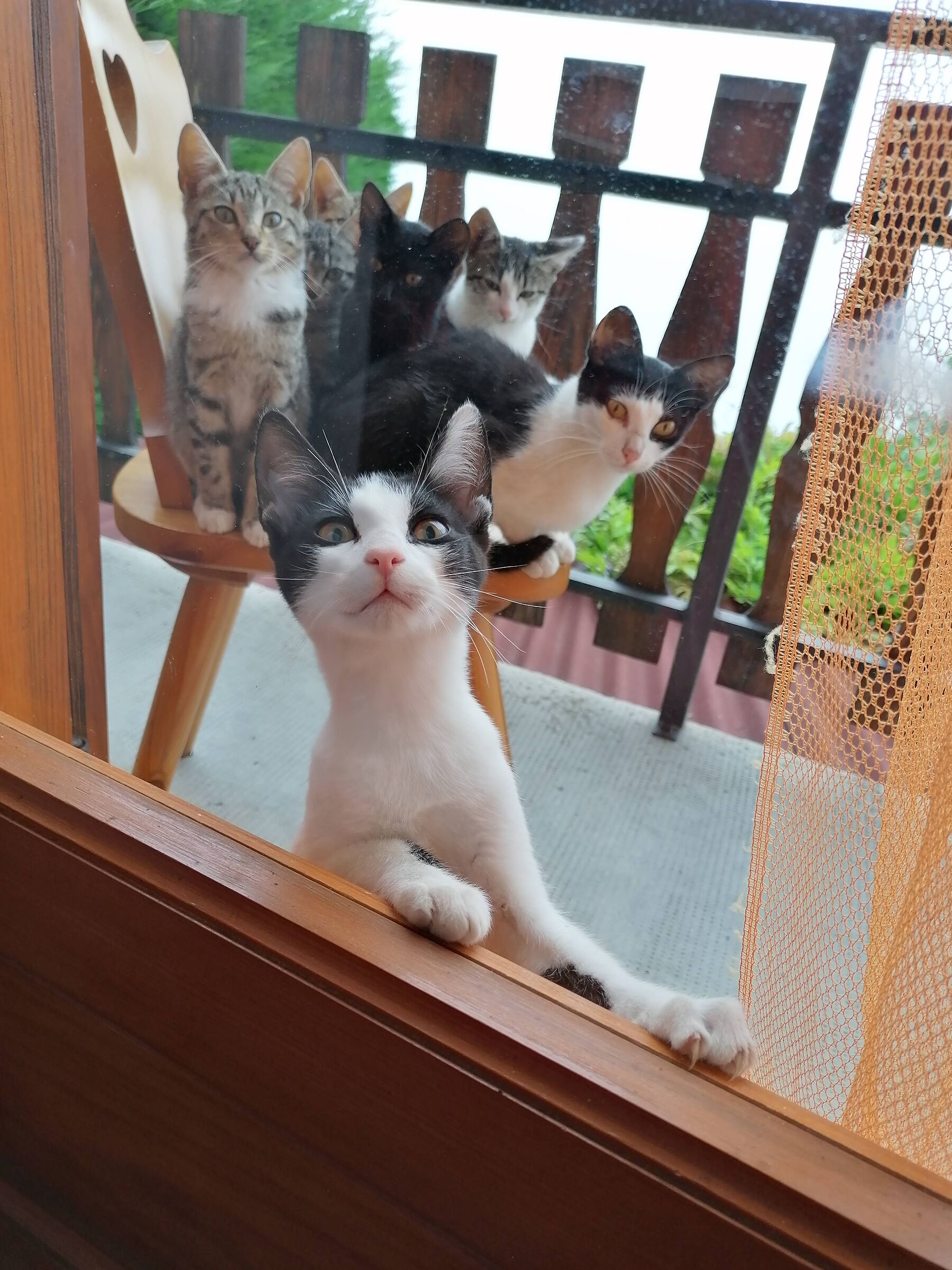 il pranzo è pronto...
