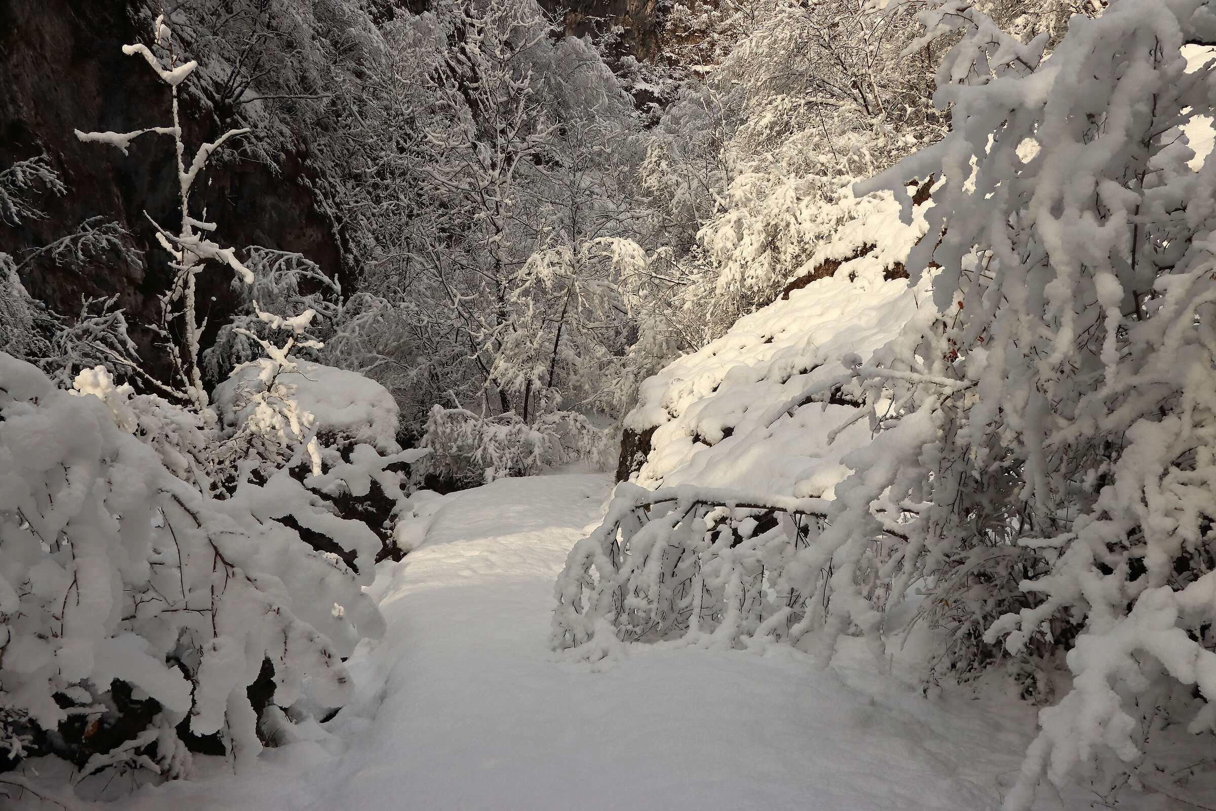 V A L V E R T O V A - walking in a fairy tale -