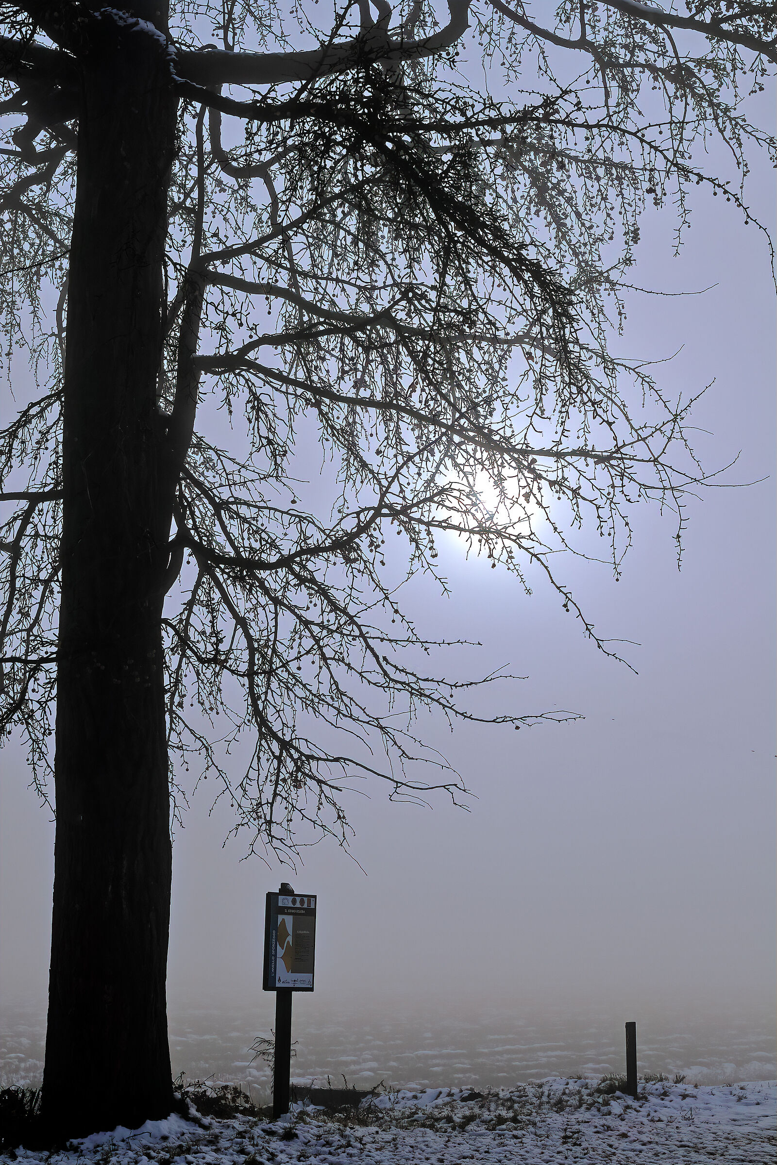 Nebbia in val padana