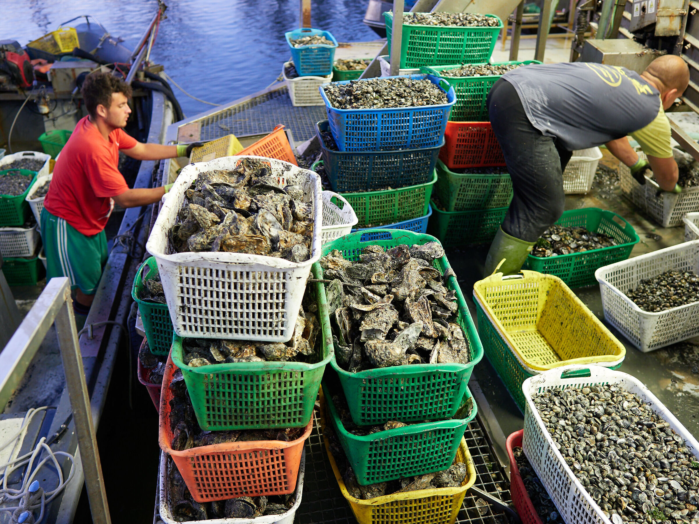 Una giornata di lavoro....